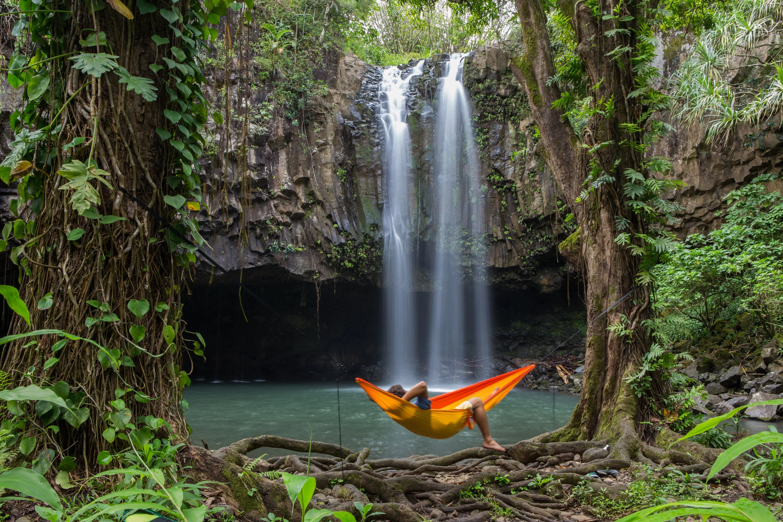 Maui's Hangloose Hammock Rental.jpg