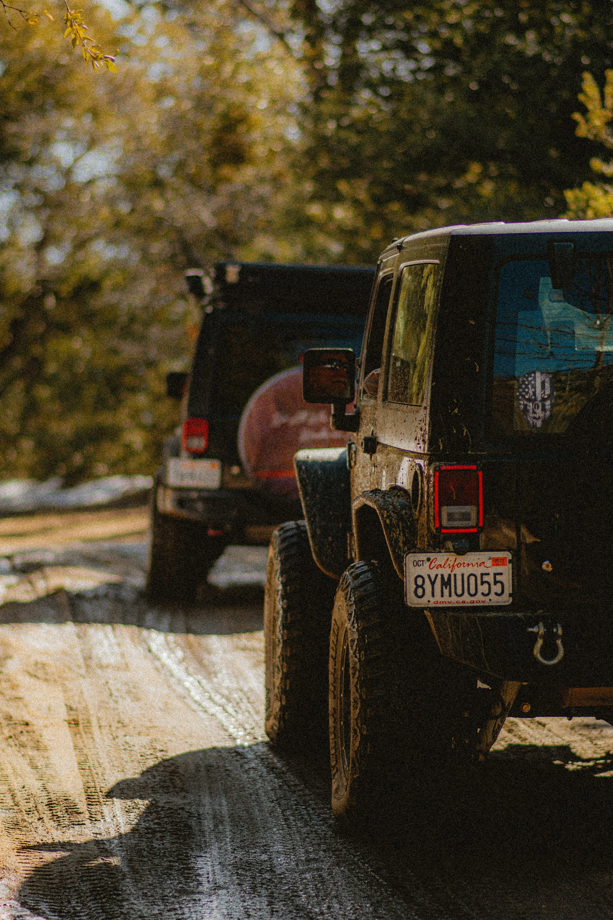 Unlocking Affordable Adventures: Exploring Hawaii with Cheap Car Rentals on Maui