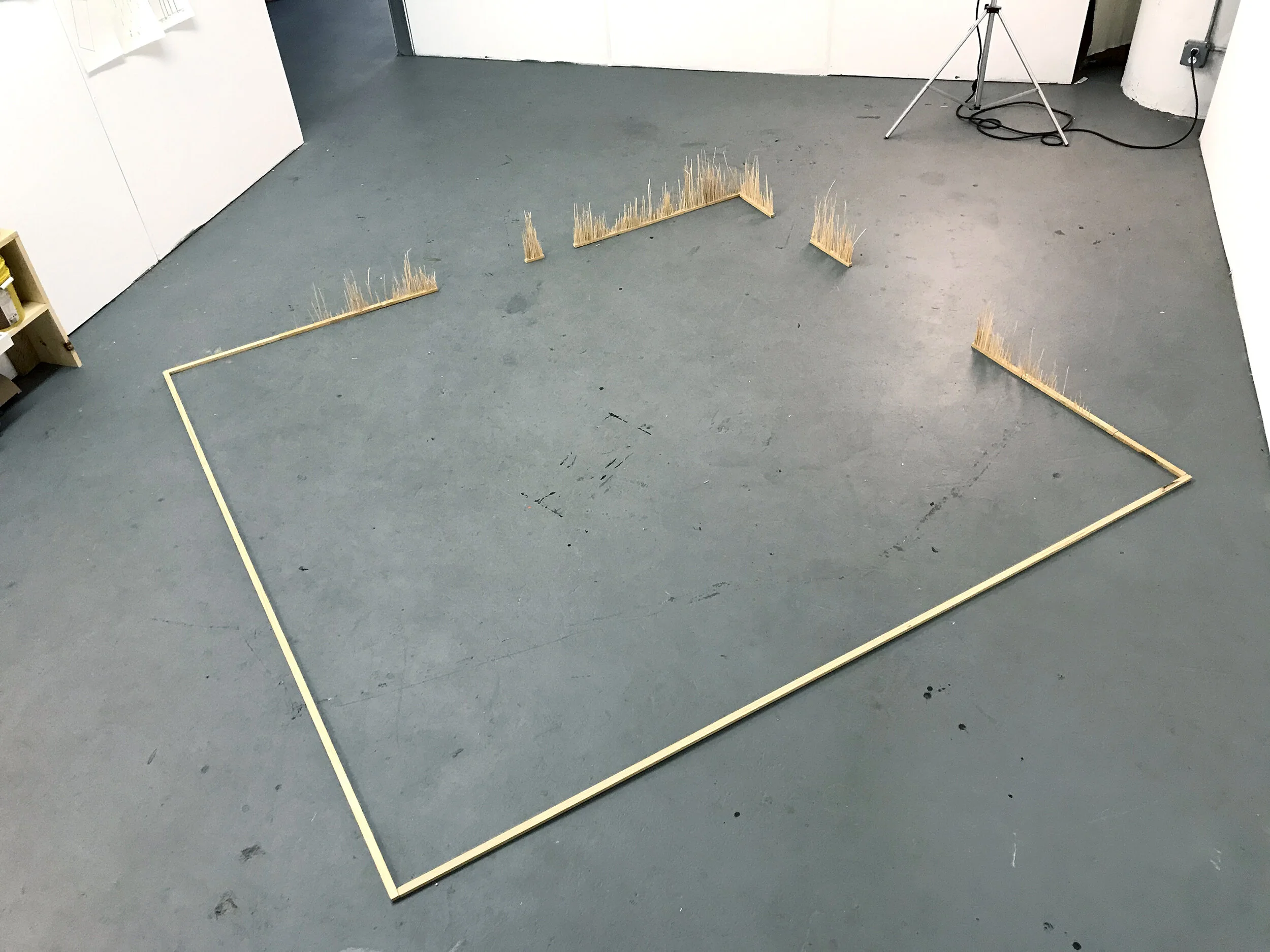 HARTEY ENTRANCE 01.jpeg