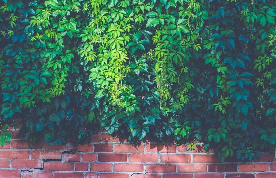 brick-wall-1869537_960_720.jpg