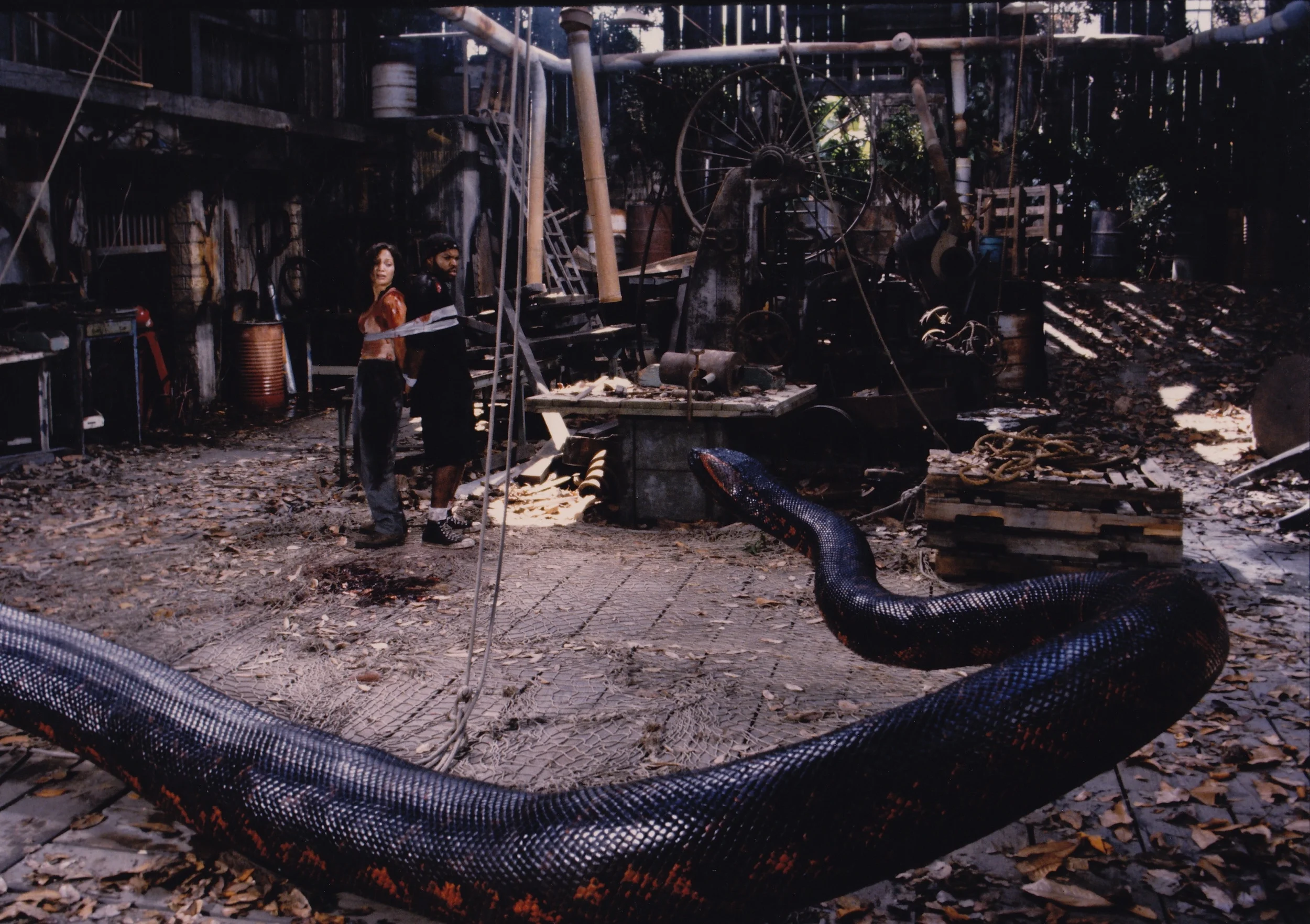 ANACONDA_0007.jpg