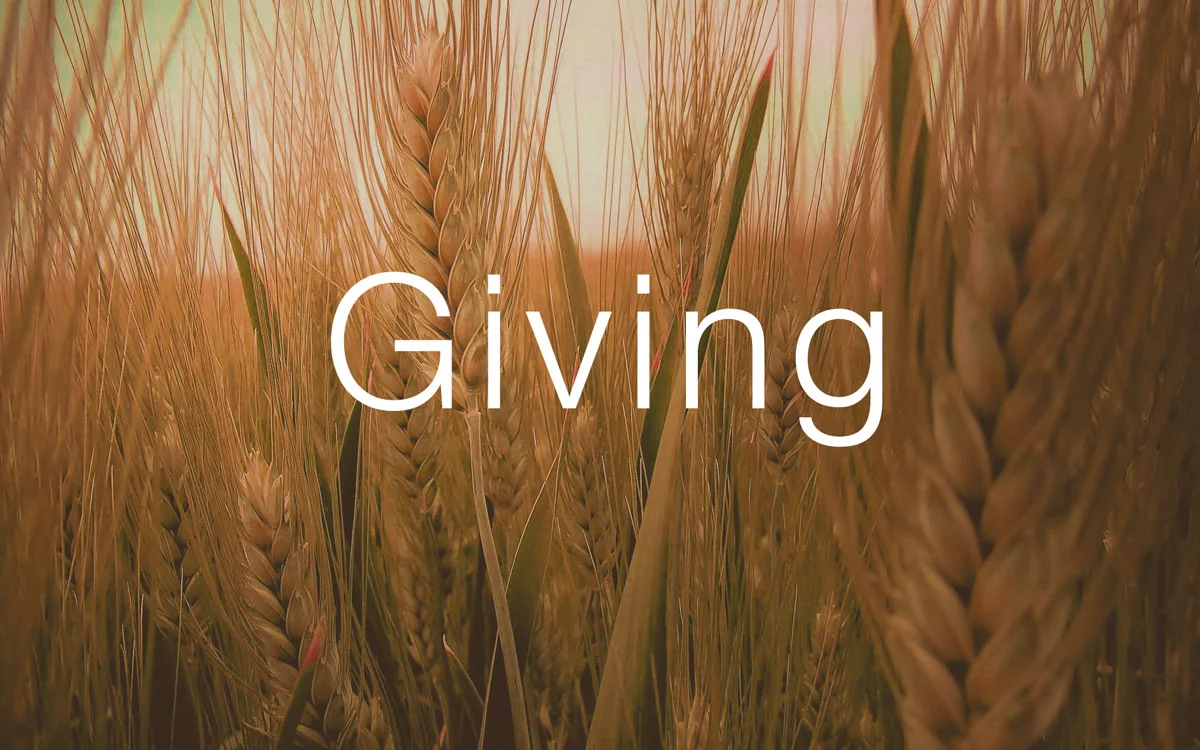 GIVING (Cathy Todt)