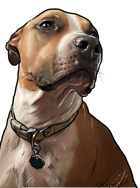 6937305_kallie_720.png