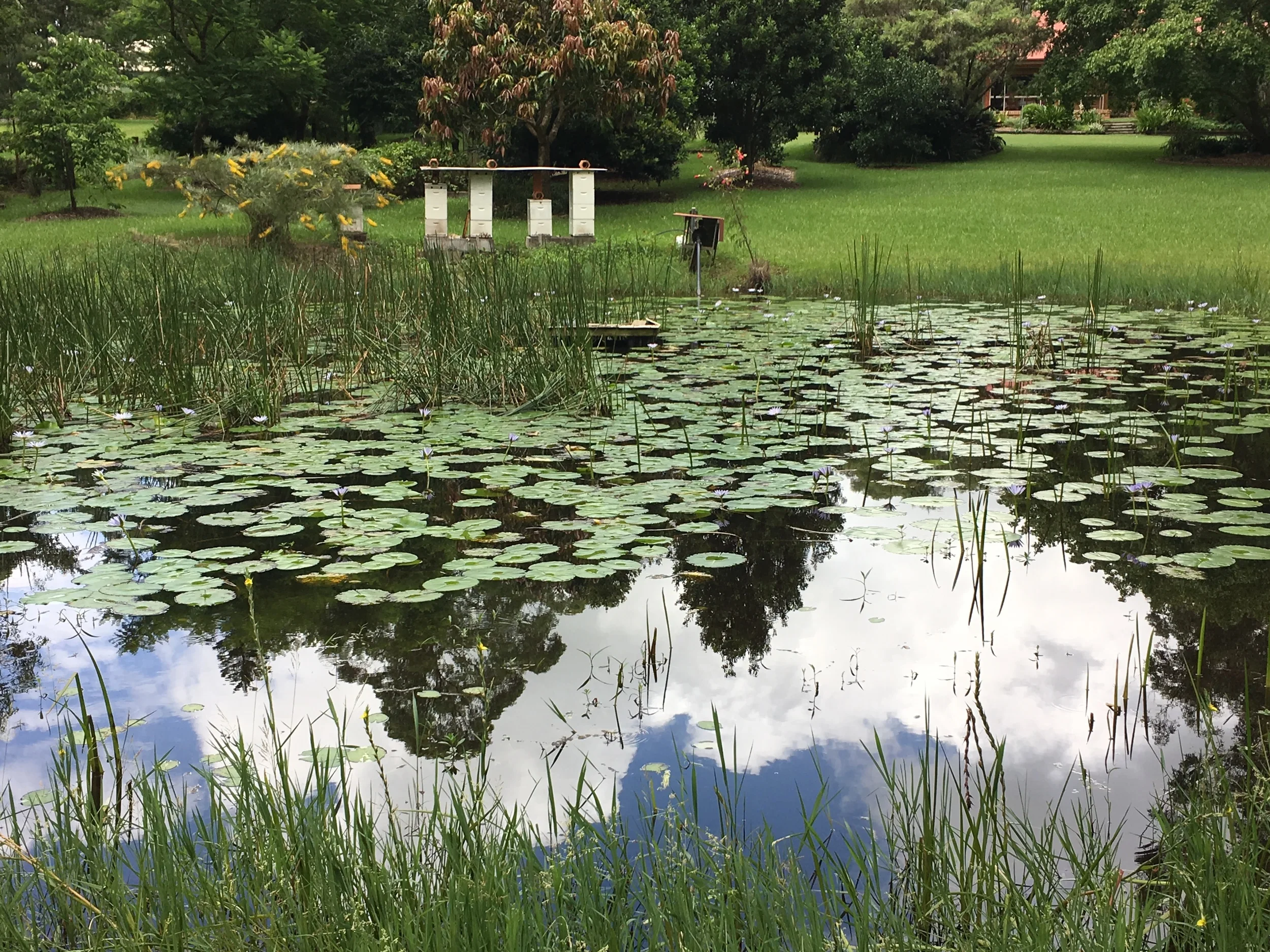 File 11-02-2016, 3 20 18 PM.jpeg