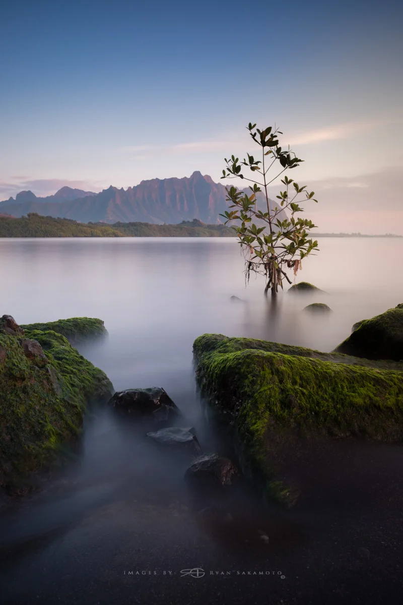 Sunrise from Waiahole Park Lee Filter Big Stopper & 4 stop medium grad Fuji XT2 | 118 sec. | f/8 | ISO 200 | XF16mm f/1.4 R WR Edited in Lightroom & Potoshop CC 2017 Copyright 2017 Ryan Sakamoto, All rights reserved