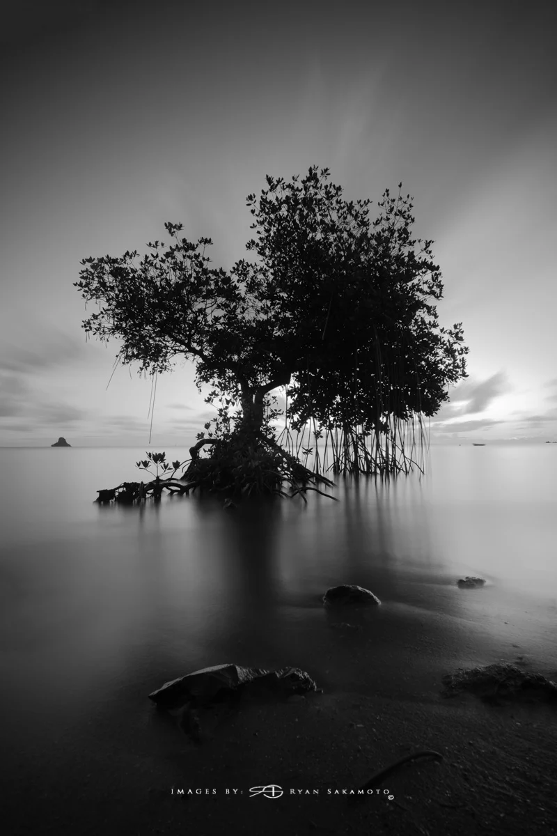 Sunrise from Waiahole Beach Park, Honolulu, Hawaii Fuji XT2 | 240 sec. | f/8 | ISO 160 | Rokinon 12mm F/2 NCS Edited in Lightroom & Photoshop CC 2017 Copyright 2017 Ryan Sakamoto, All rights reserved