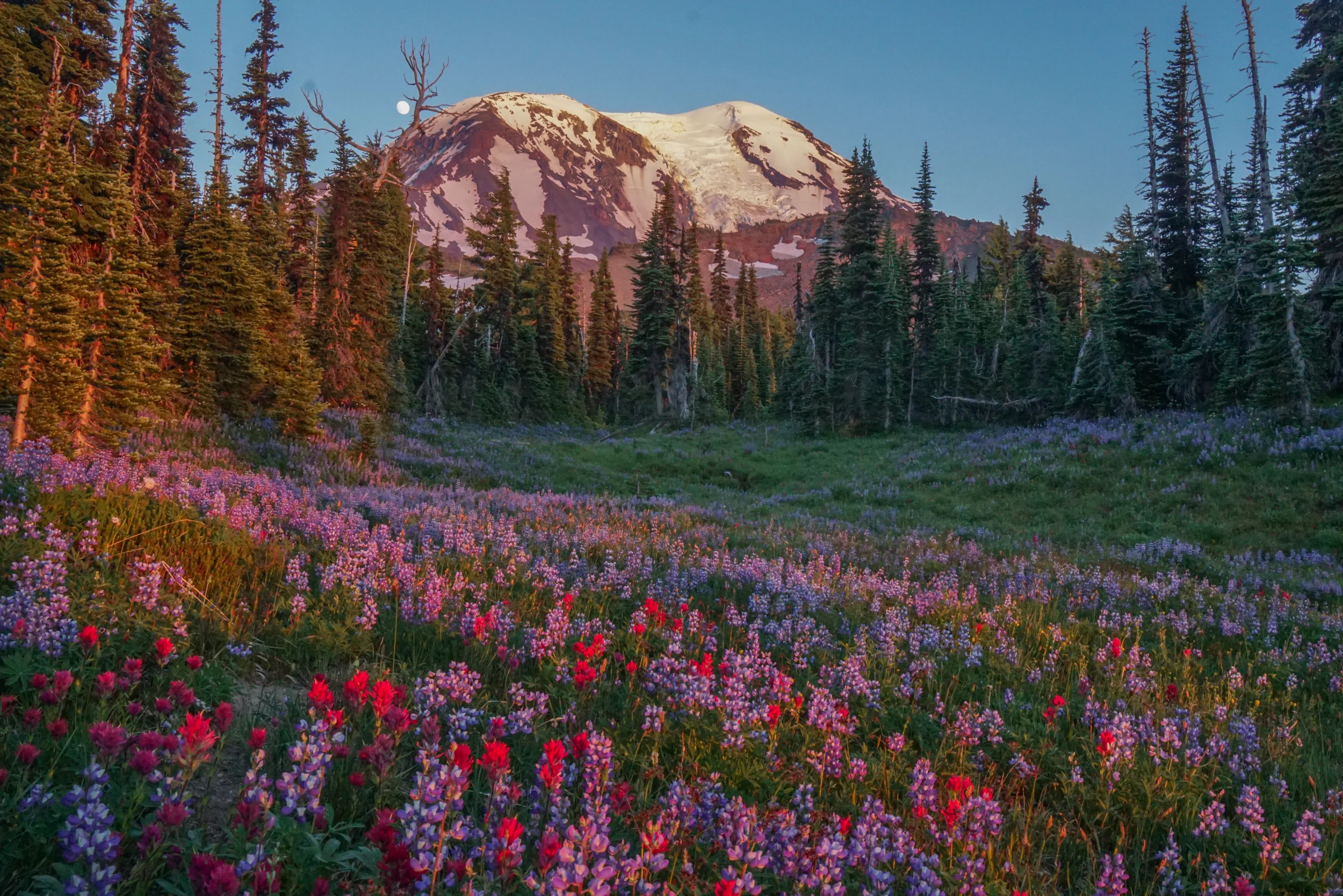 Mount Adams, Section 2.jpg