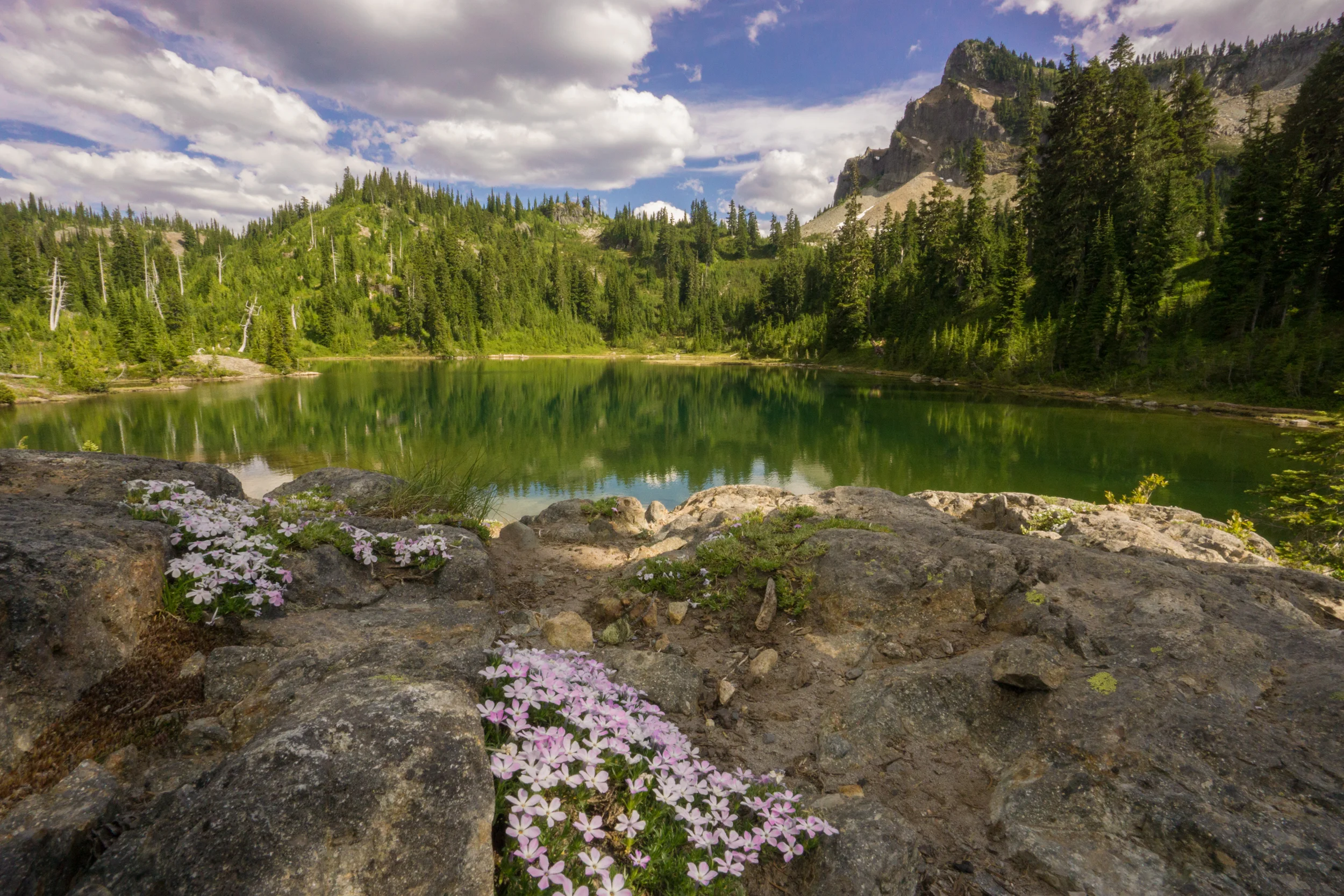 American Lake, Section 3.jpg