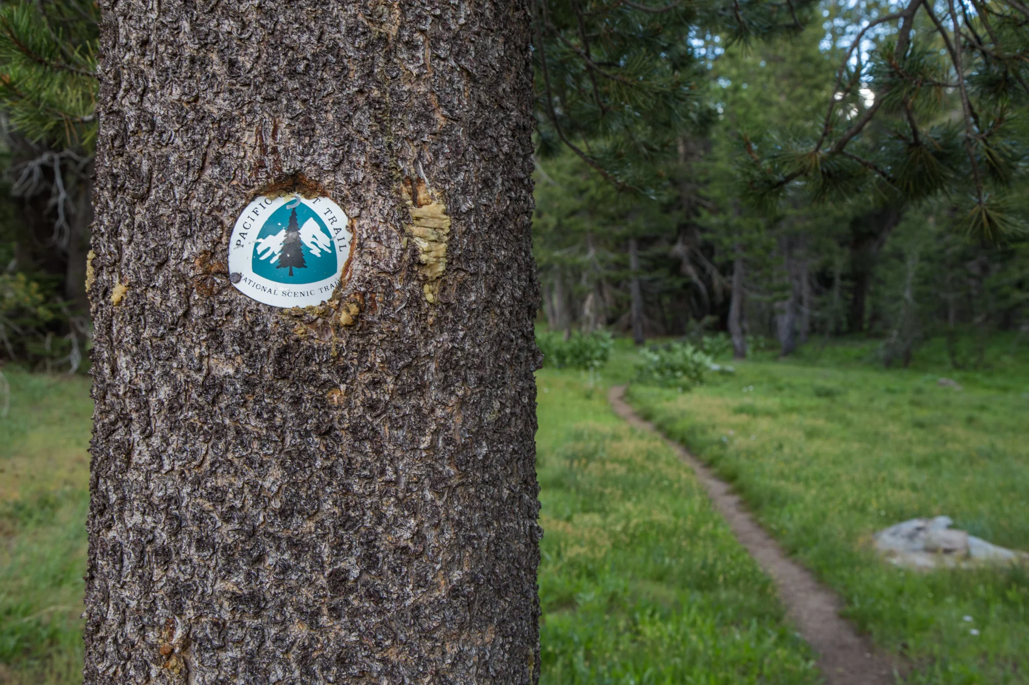 PCT_K_070616-1460.jpg