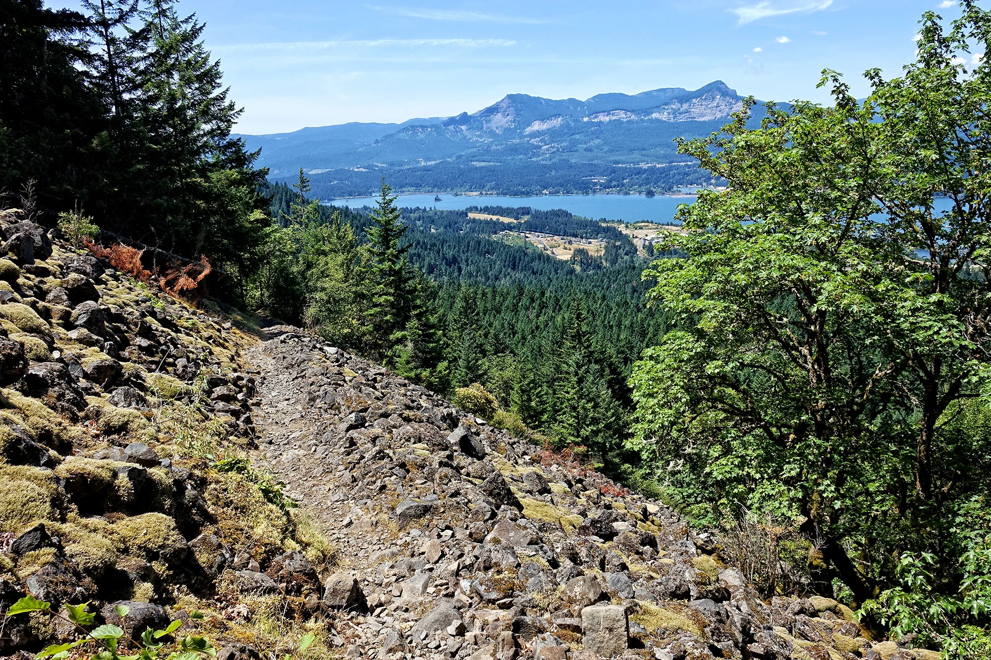 OR-PCT_ColumbiaGorge_EB1544.jpg