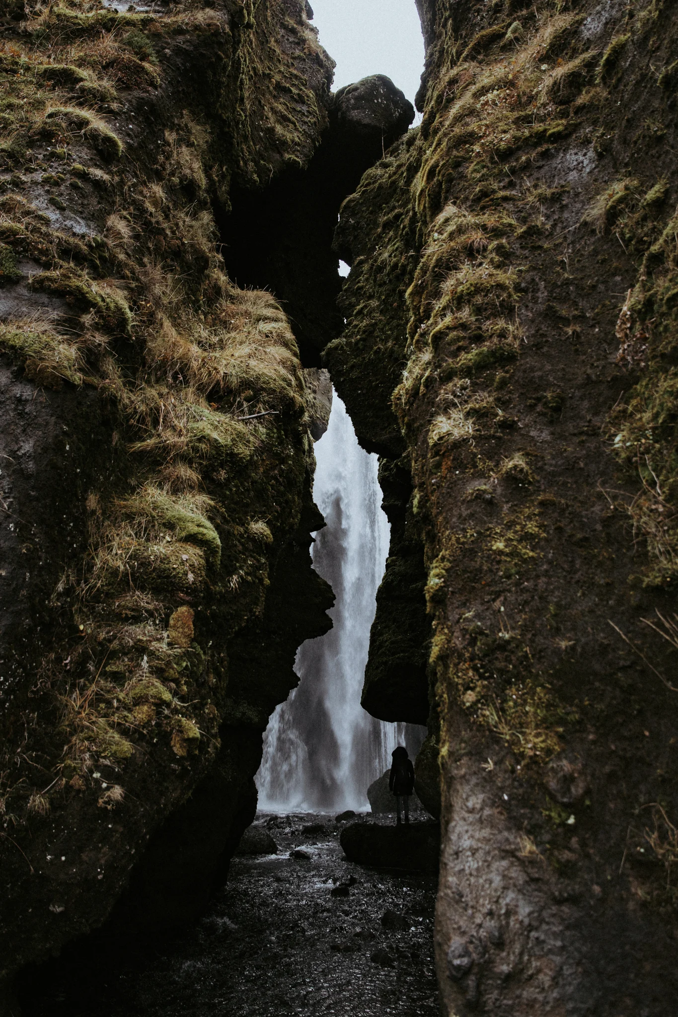 iceland_9716.jpg