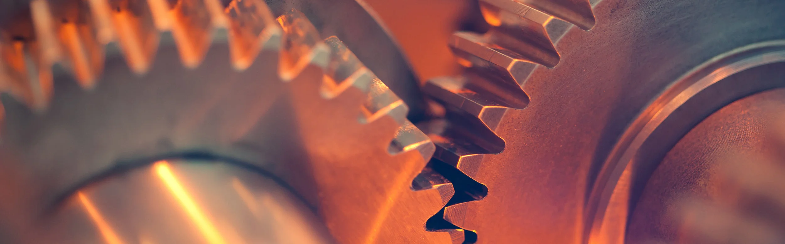 Page header_banner_cogs_colour.jpg