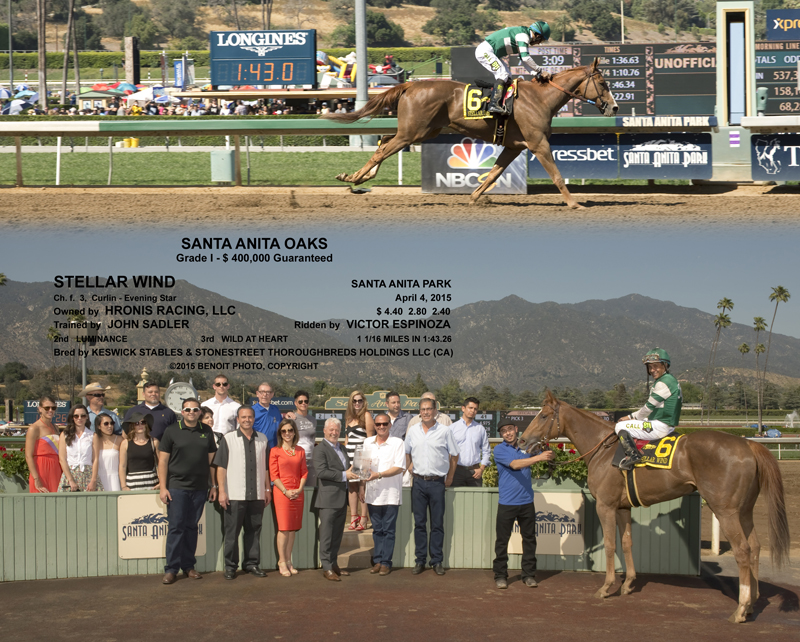 STELLAR WIND COMP-1.jpg