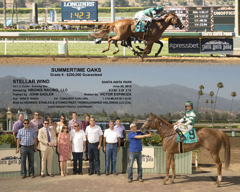 STELLAR WIND COMP-2.jpg