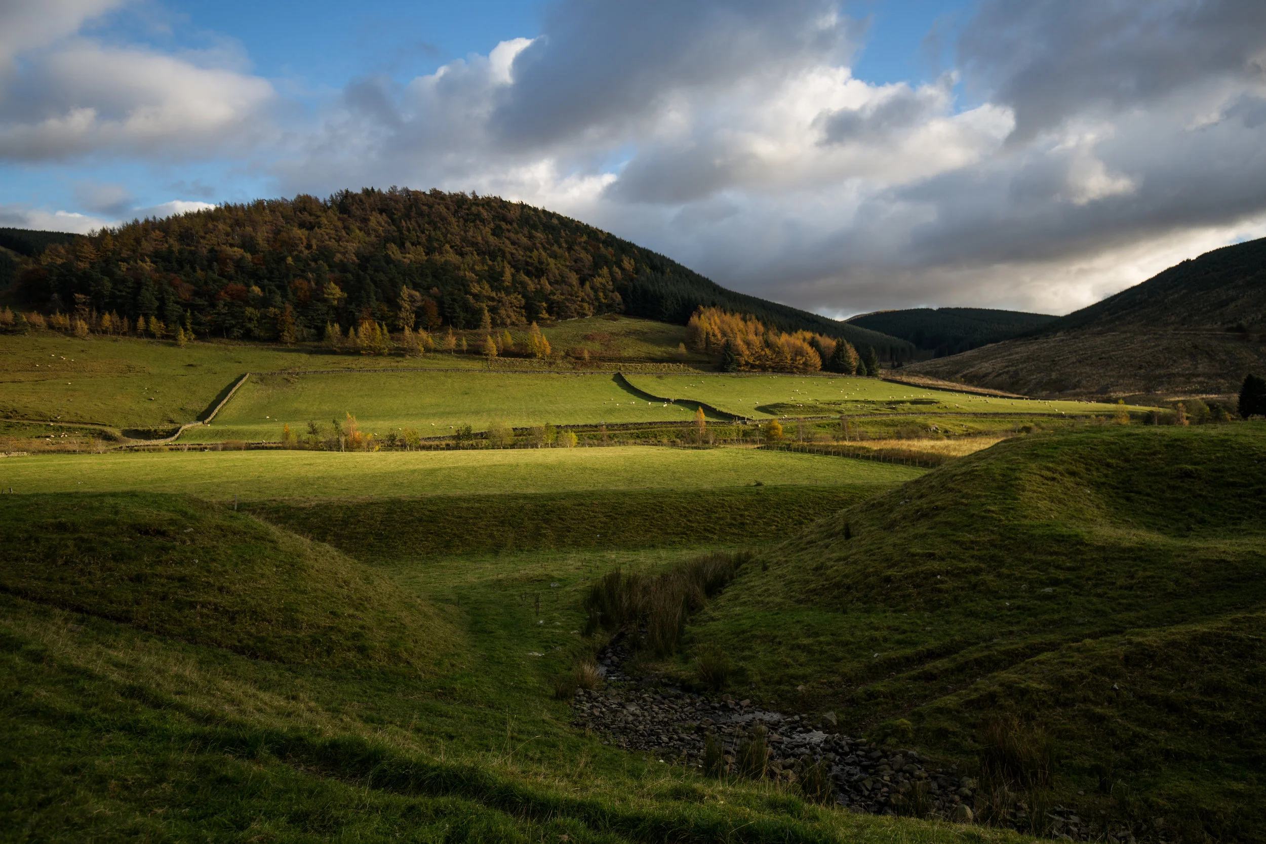 Scottish Hills