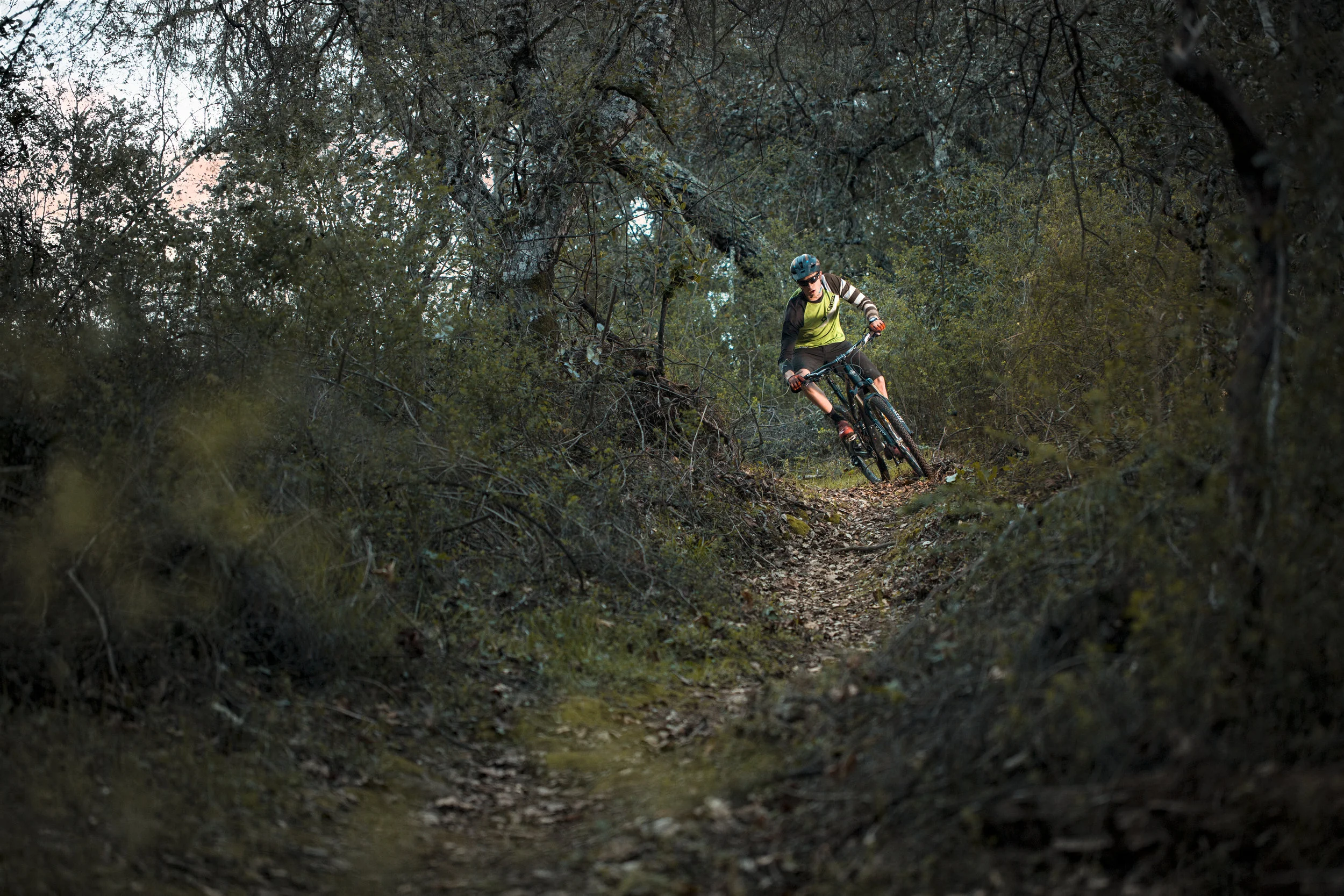 Alex Nelson in Angwin, California