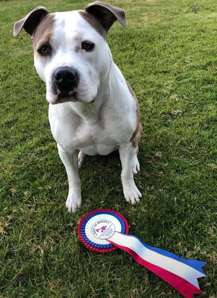 Belle Pointscore July.jpg