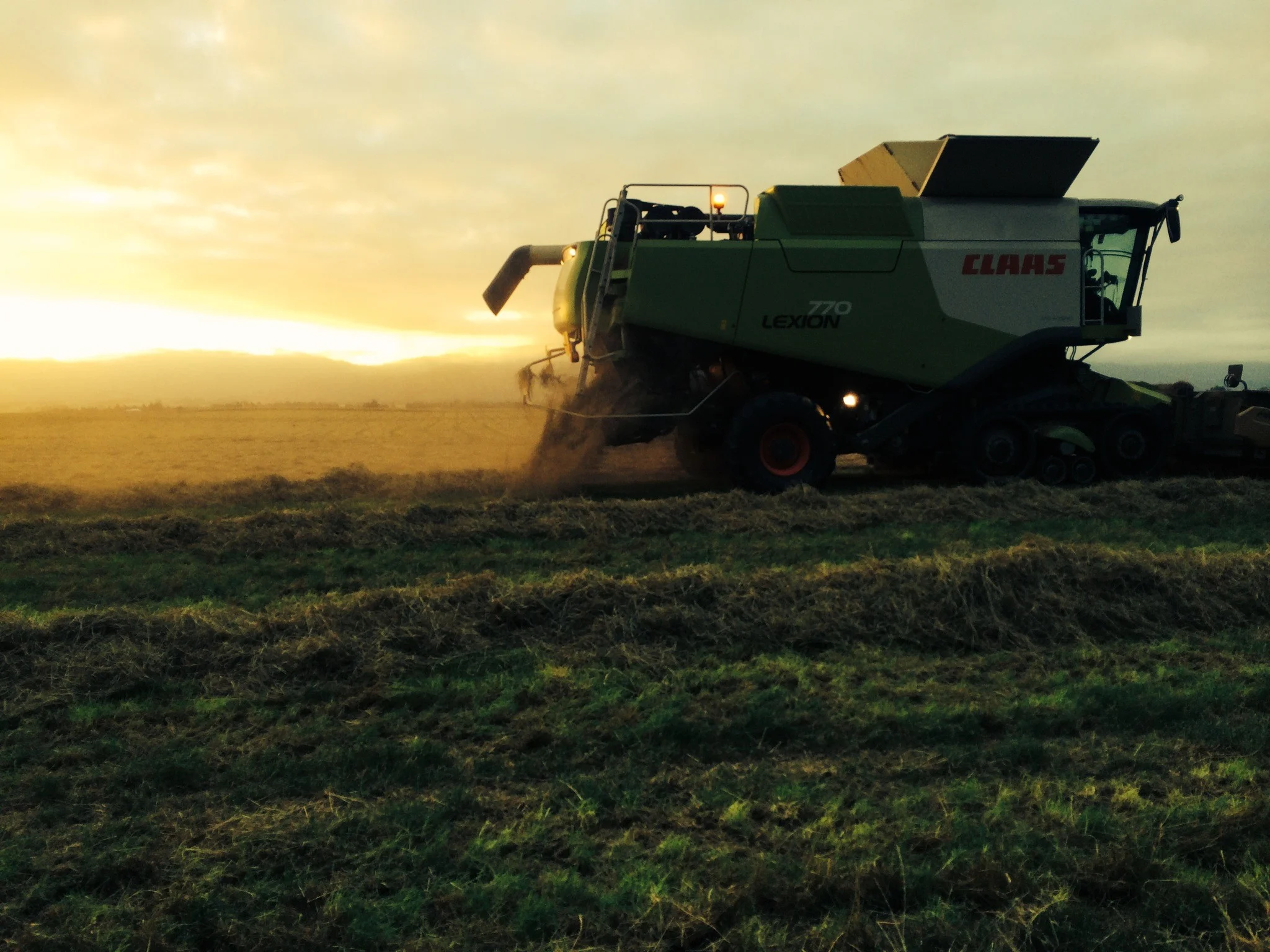 harvest 1.JPG