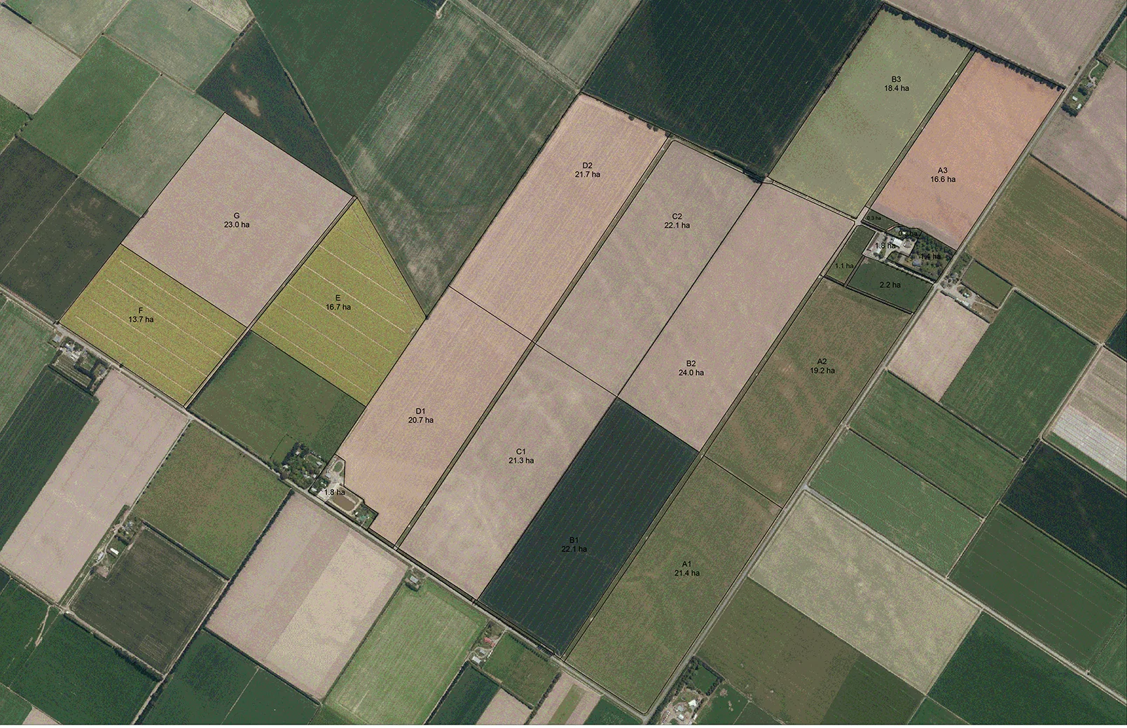 Springdale 1 colour.jpg