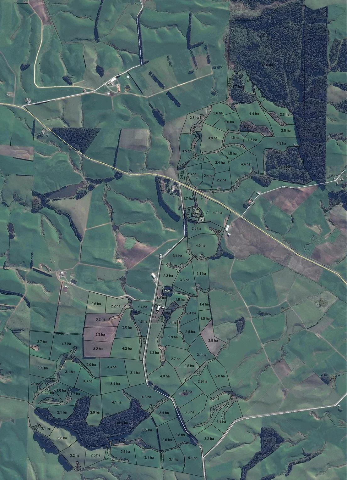 ruddenklau colour.jpg