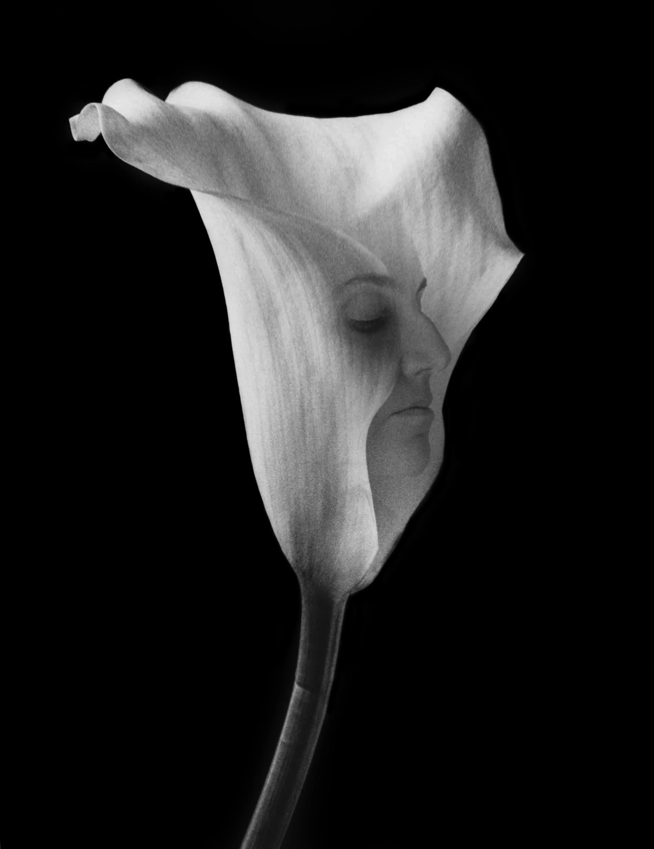 Untitled, Silver Gelatin Print, 8”x10”, 2017.
