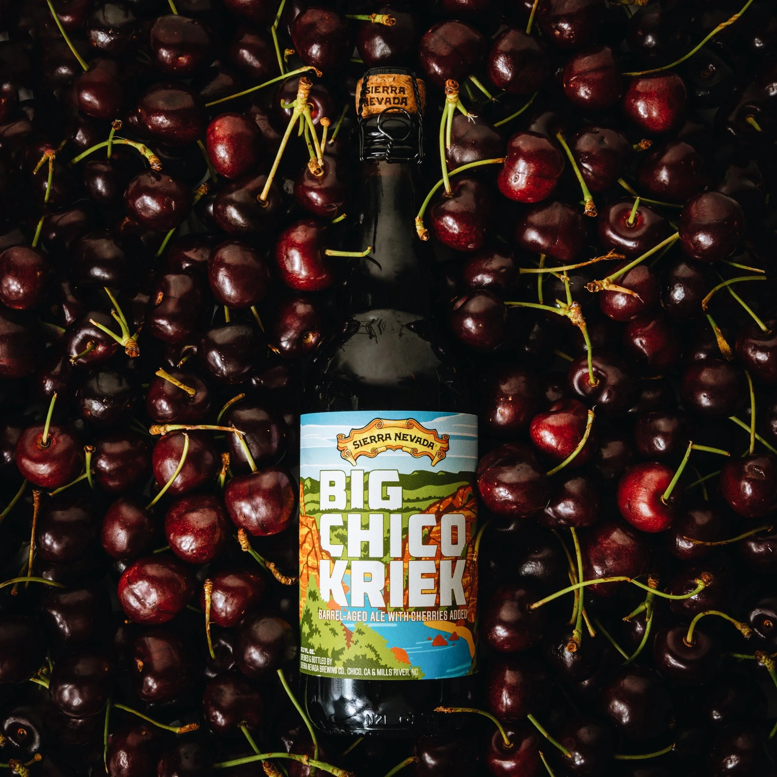 SOCIAL_02.SN_Big Chico Kriek_8.5.19.JPG