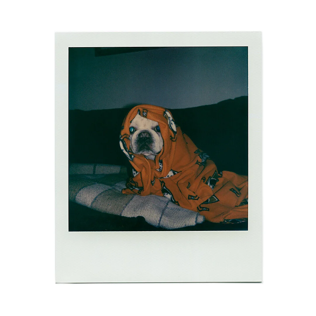 PolaroidProject_010921_KL.jpg
