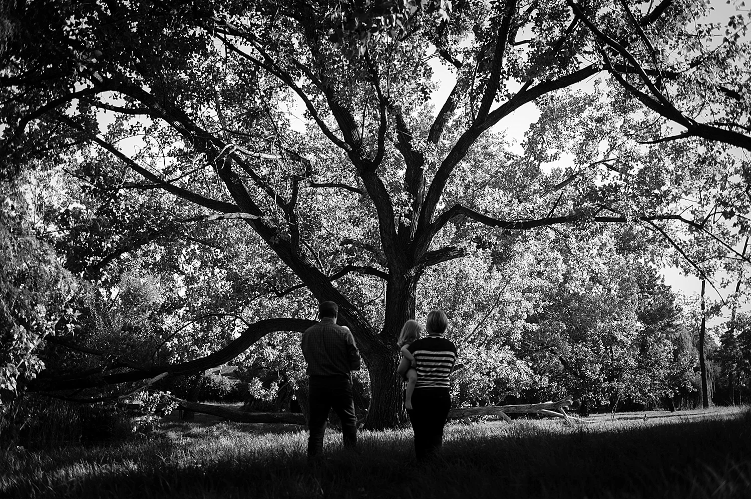 Wynand van der Merwe Photography
