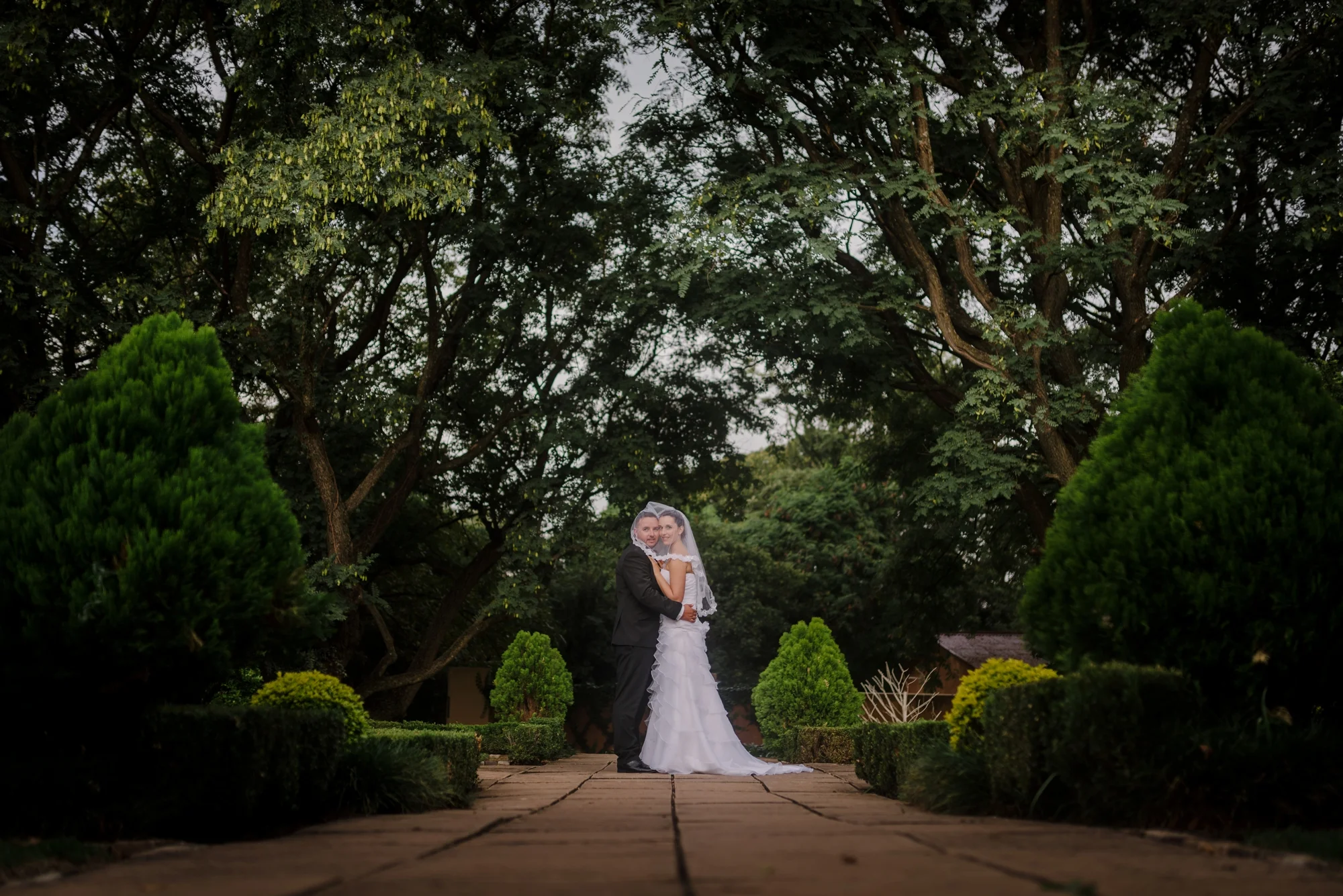 wedding photography, The Moon and Sixpense, wedding photos, beautiful bride, exquisite wedding 