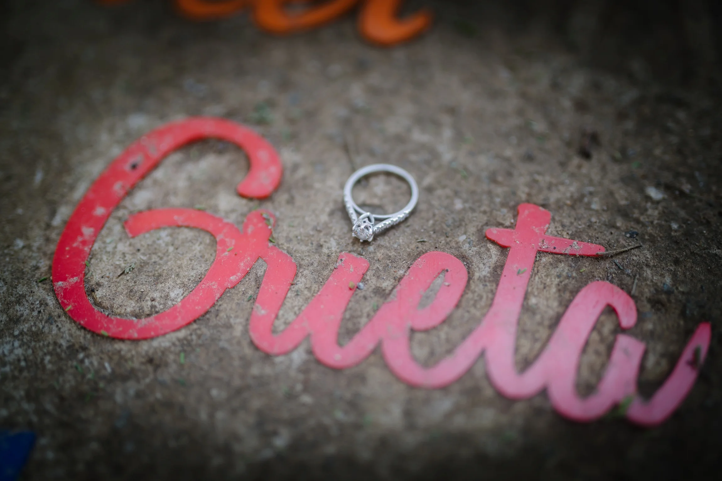 engagement photos