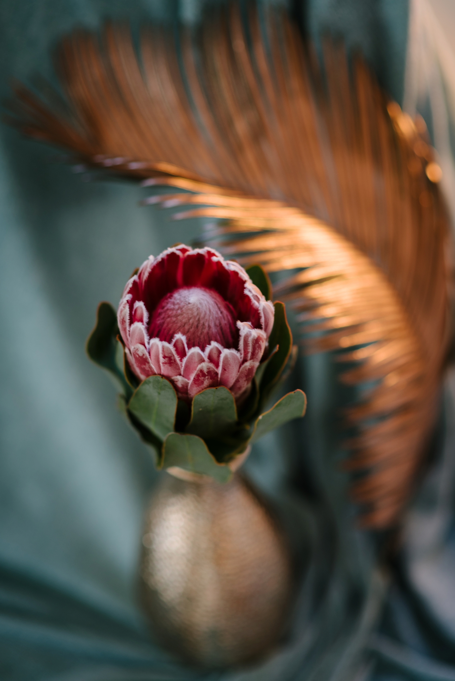 Mother's day Styled Shoot