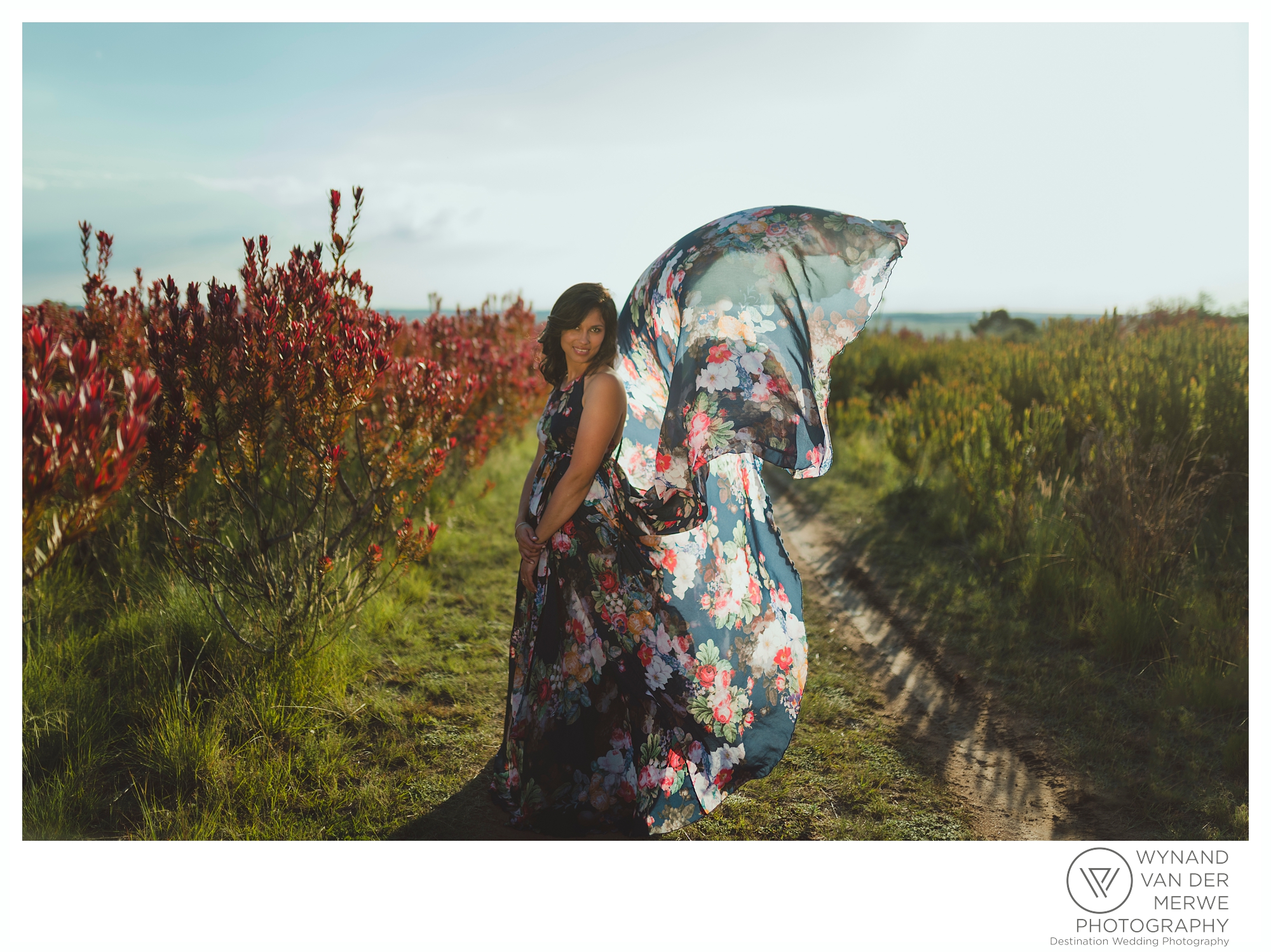 Tertius and Monique's beautiful engagement shoot at Harmonie Proteas