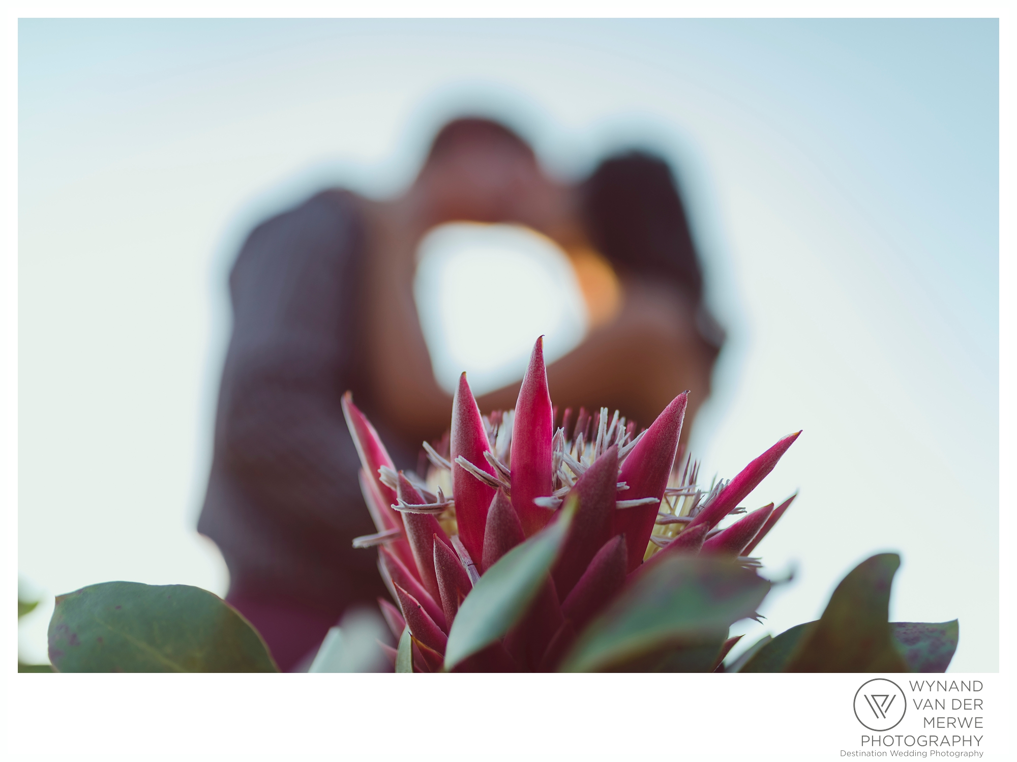 Tertius and Monique's beautiful engagement shoot at Harmonie Proteas