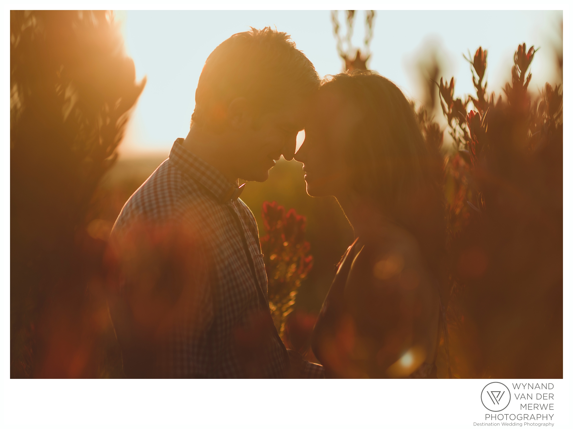 Tertius and Monique's beautiful engagement shoot at Harmonie Proteas