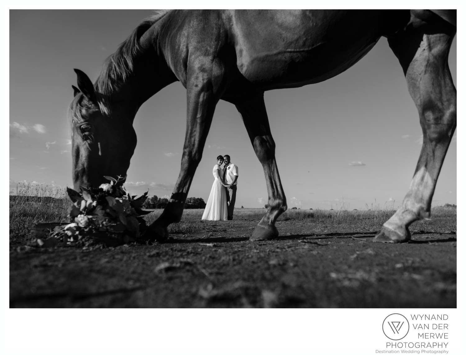 CJ & Carina's Beautiful Bloemfontein Wedding