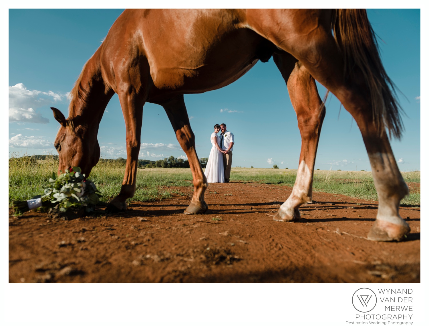 CJ & Carina's Beautiful Bloemfontein Wedding