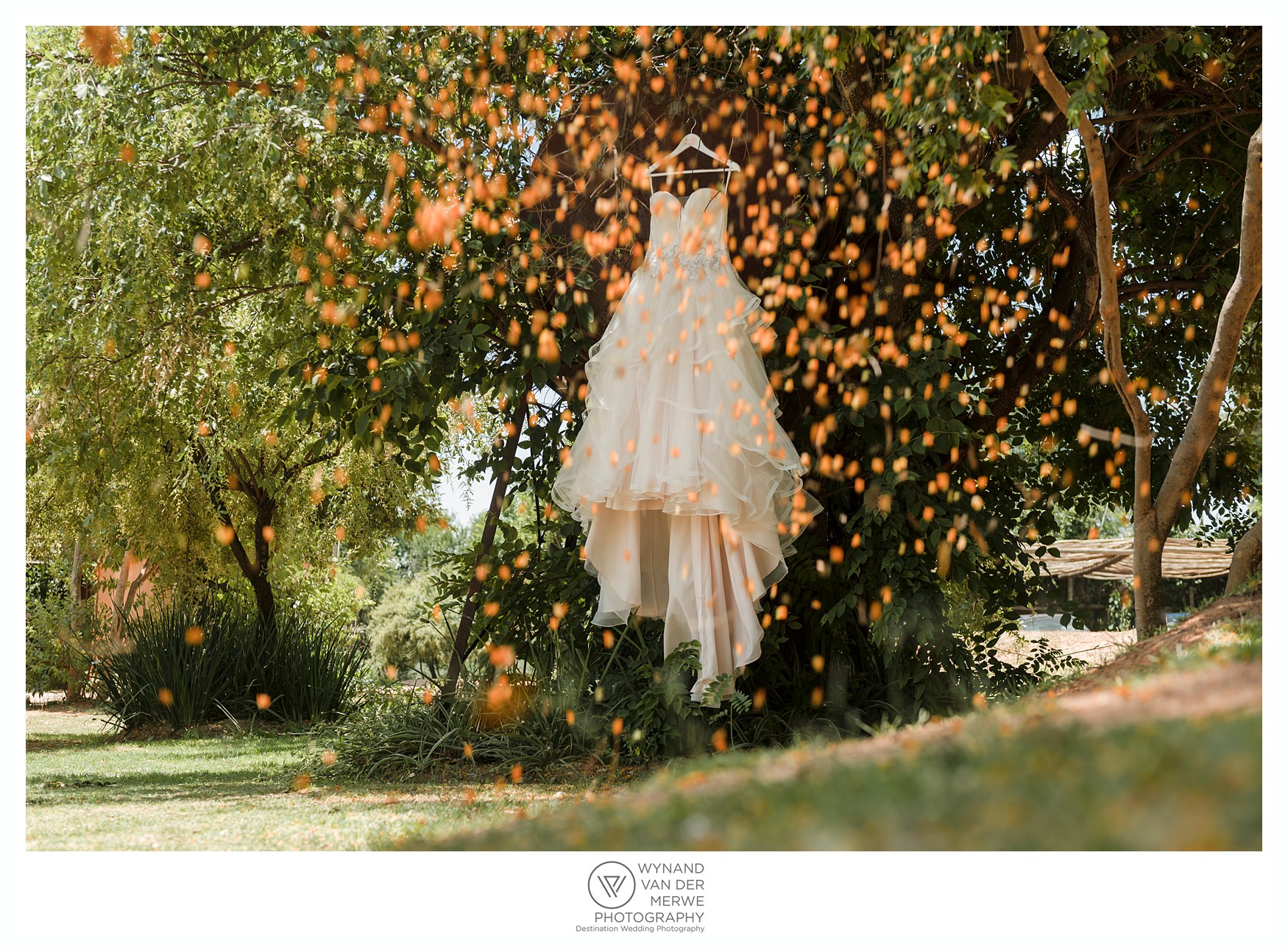 Ryan and Natalie's wedding at Cradle Valley Guesthouse