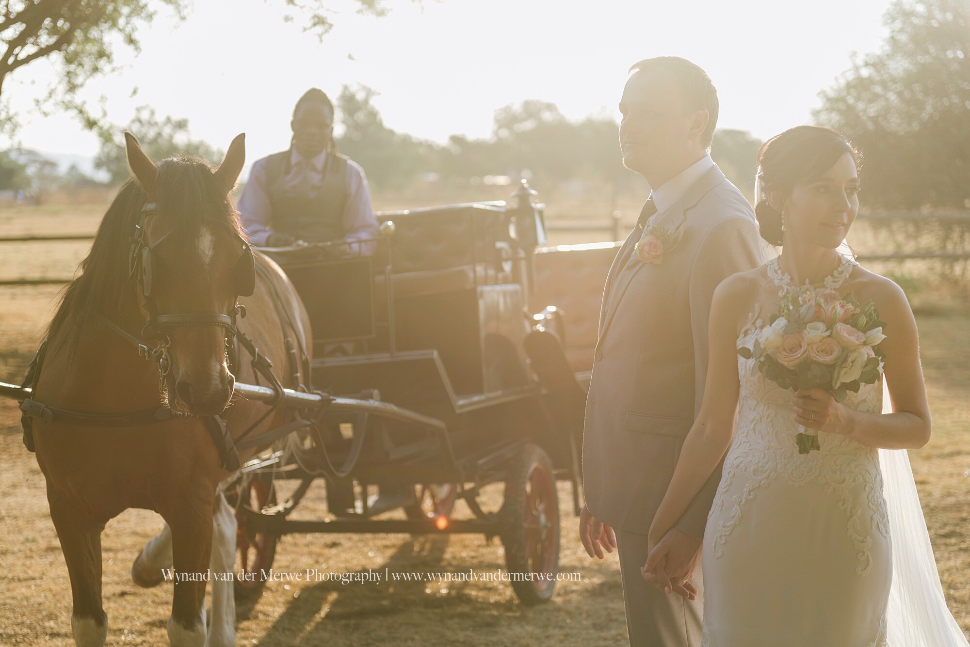 Ferreira and Michelle's wedding at Oakfield Farm