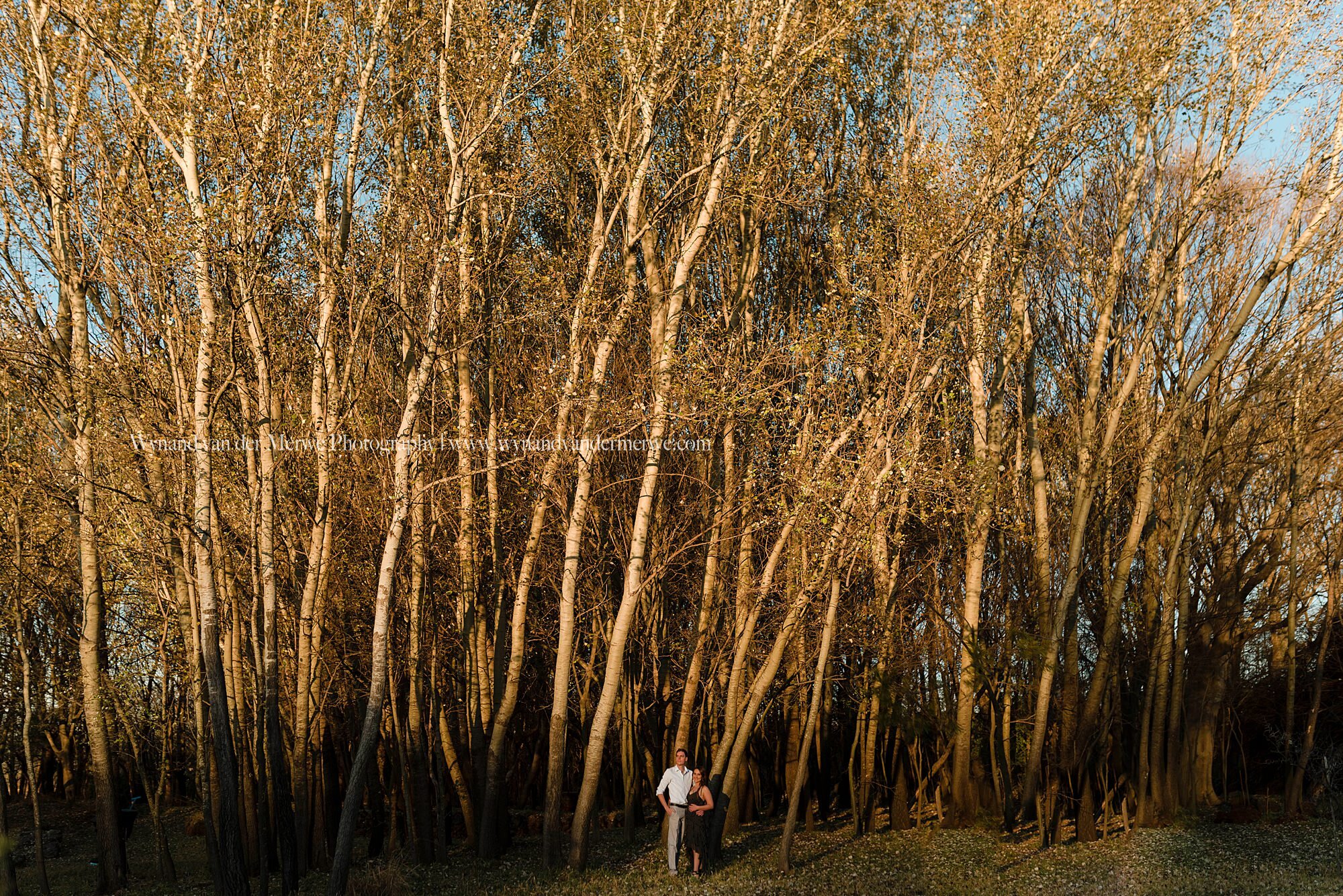 Art meets engagement shoot