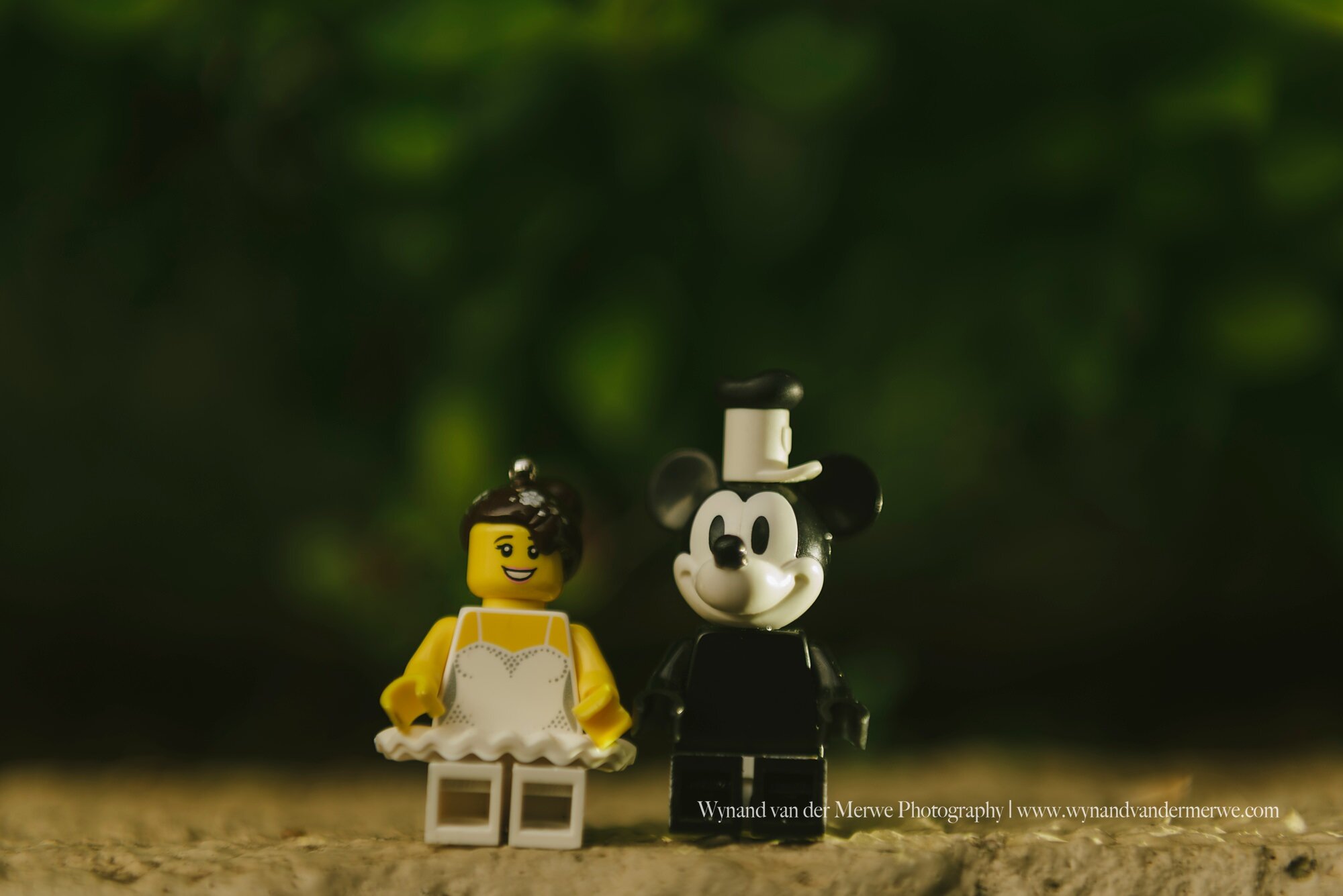 Wynandvandermerwe covid19 lockdown lego married-10.jpg