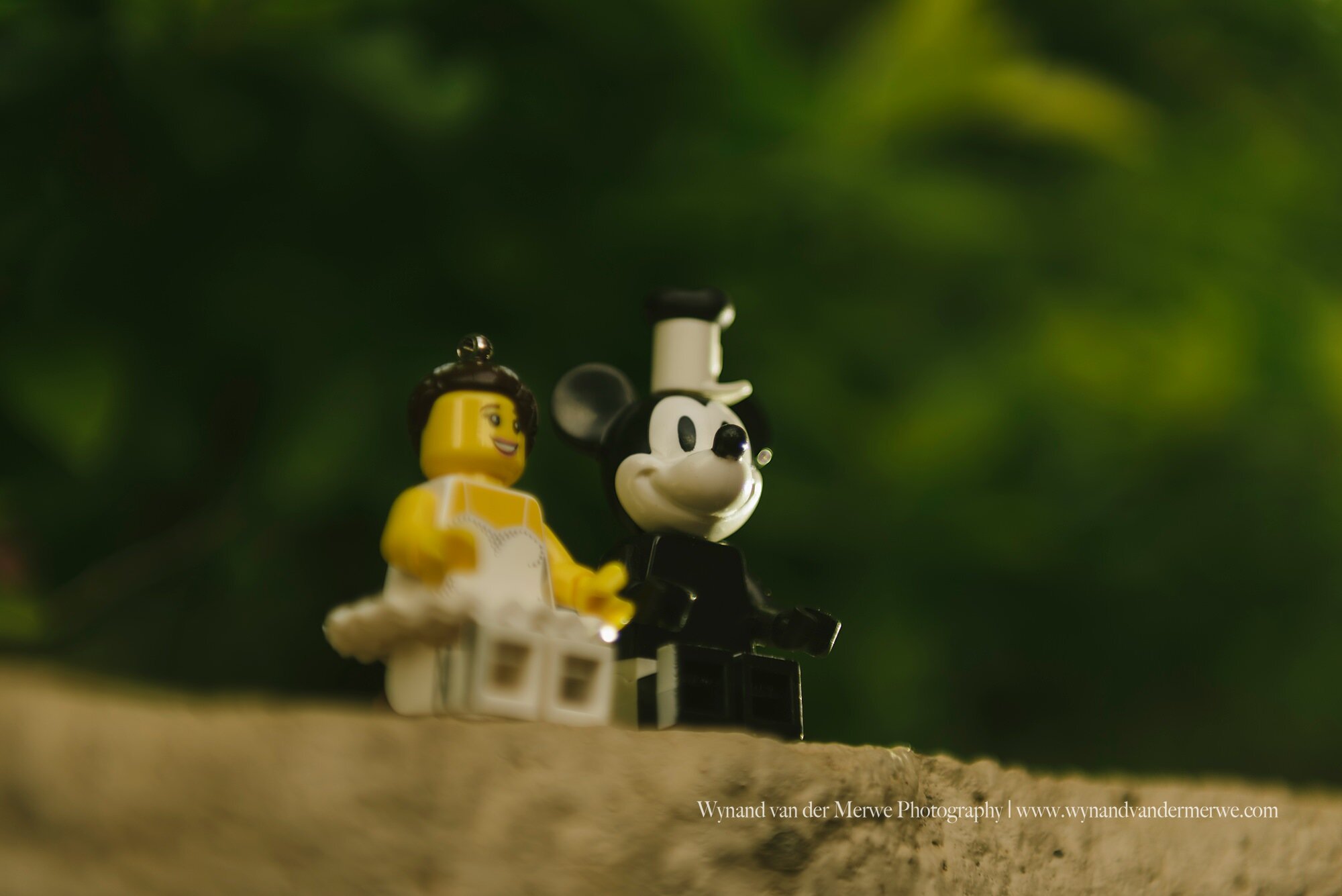 Wynandvandermerwe covid19 lockdown lego married-11.jpg