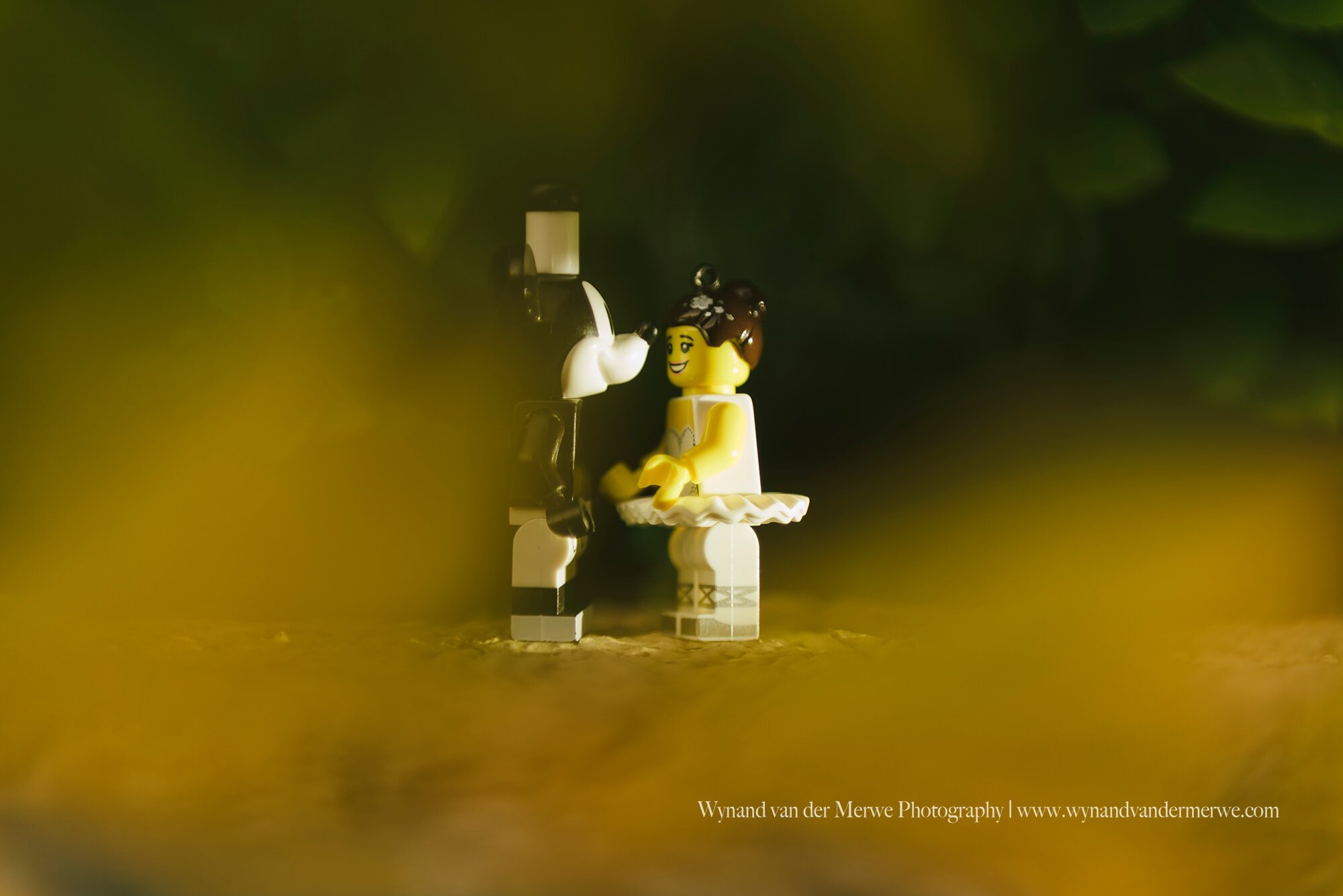 Wynandvandermerwe covid19 lockdown lego married-15.jpg