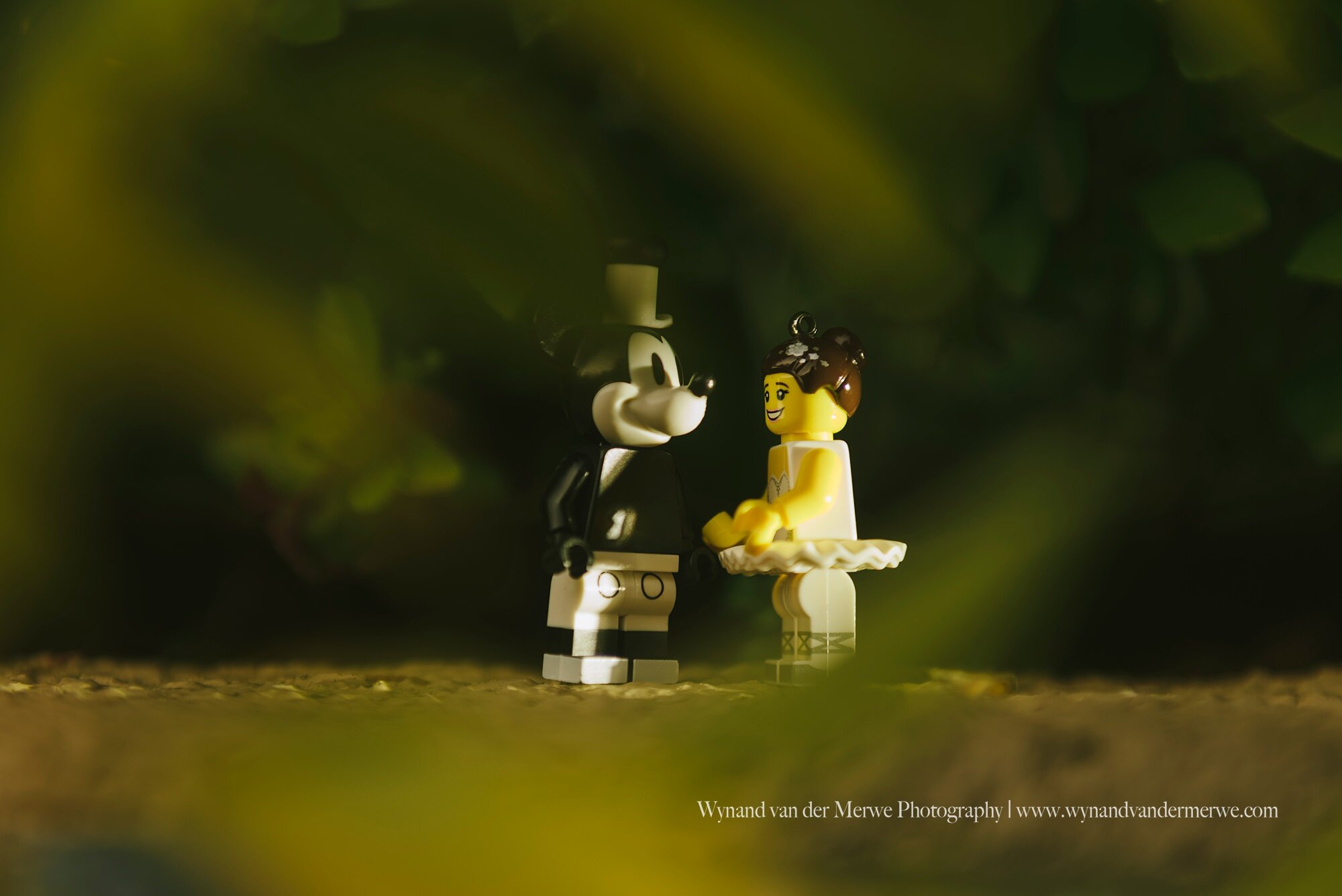 Wynandvandermerwe covid19 lockdown lego married-16.jpg