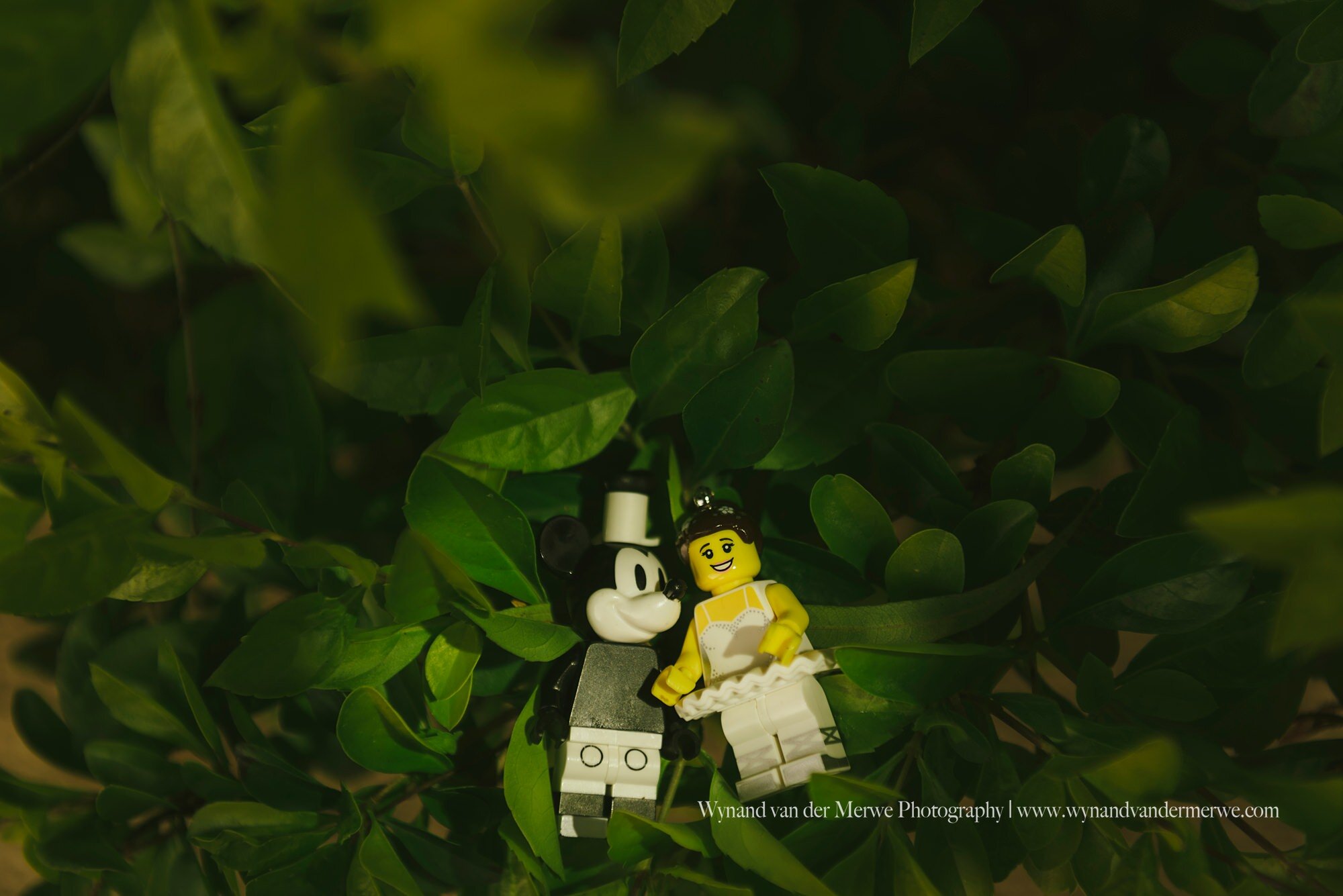 Wynandvandermerwe covid19 lockdown lego married-18.jpg