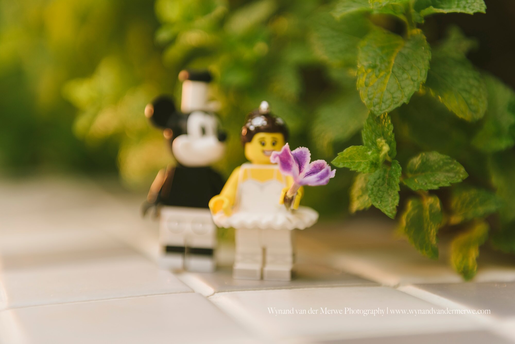 Wynandvandermerwe covid19 lockdown lego married-19.jpg