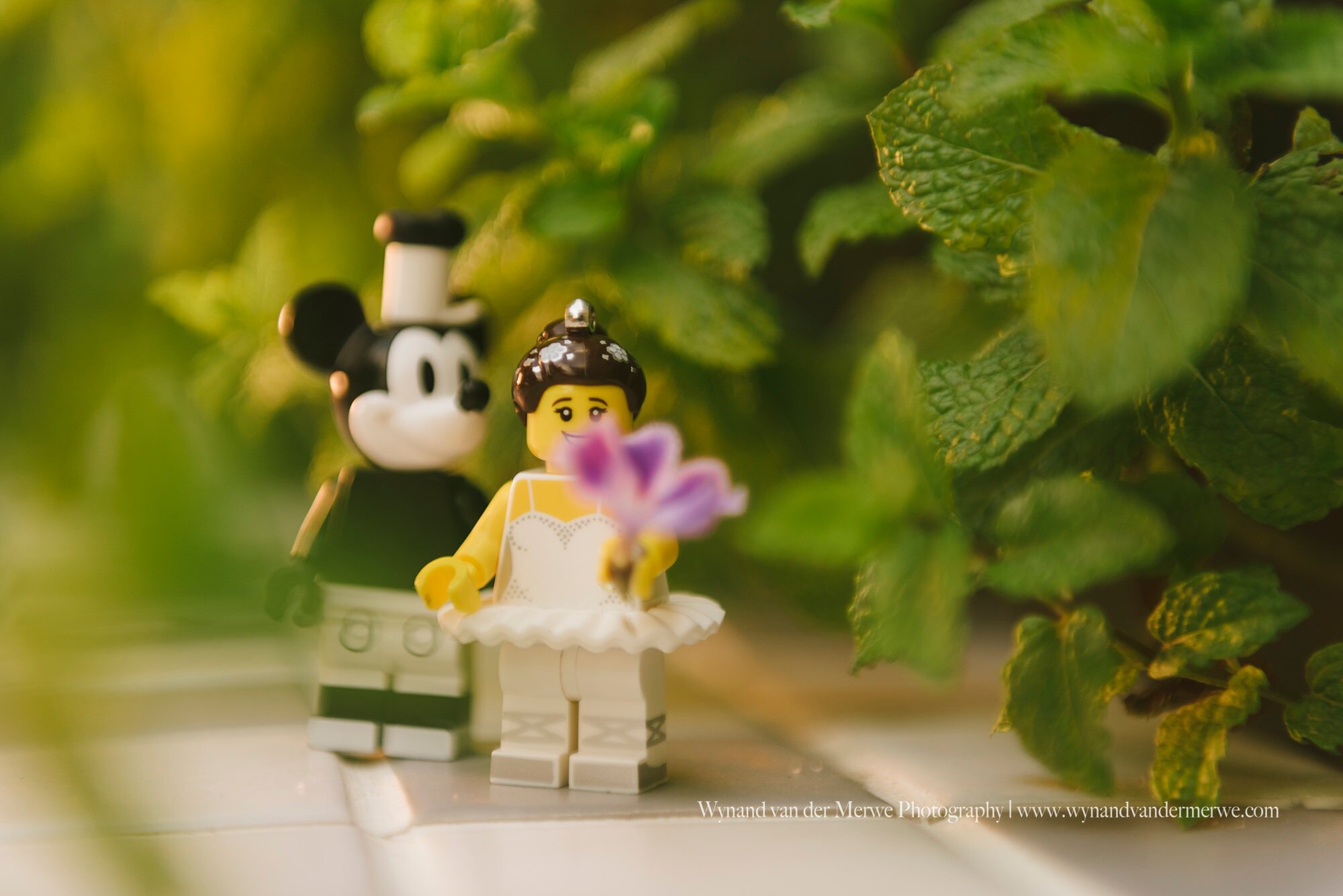 Wynandvandermerwe covid19 lockdown lego married-21.jpg