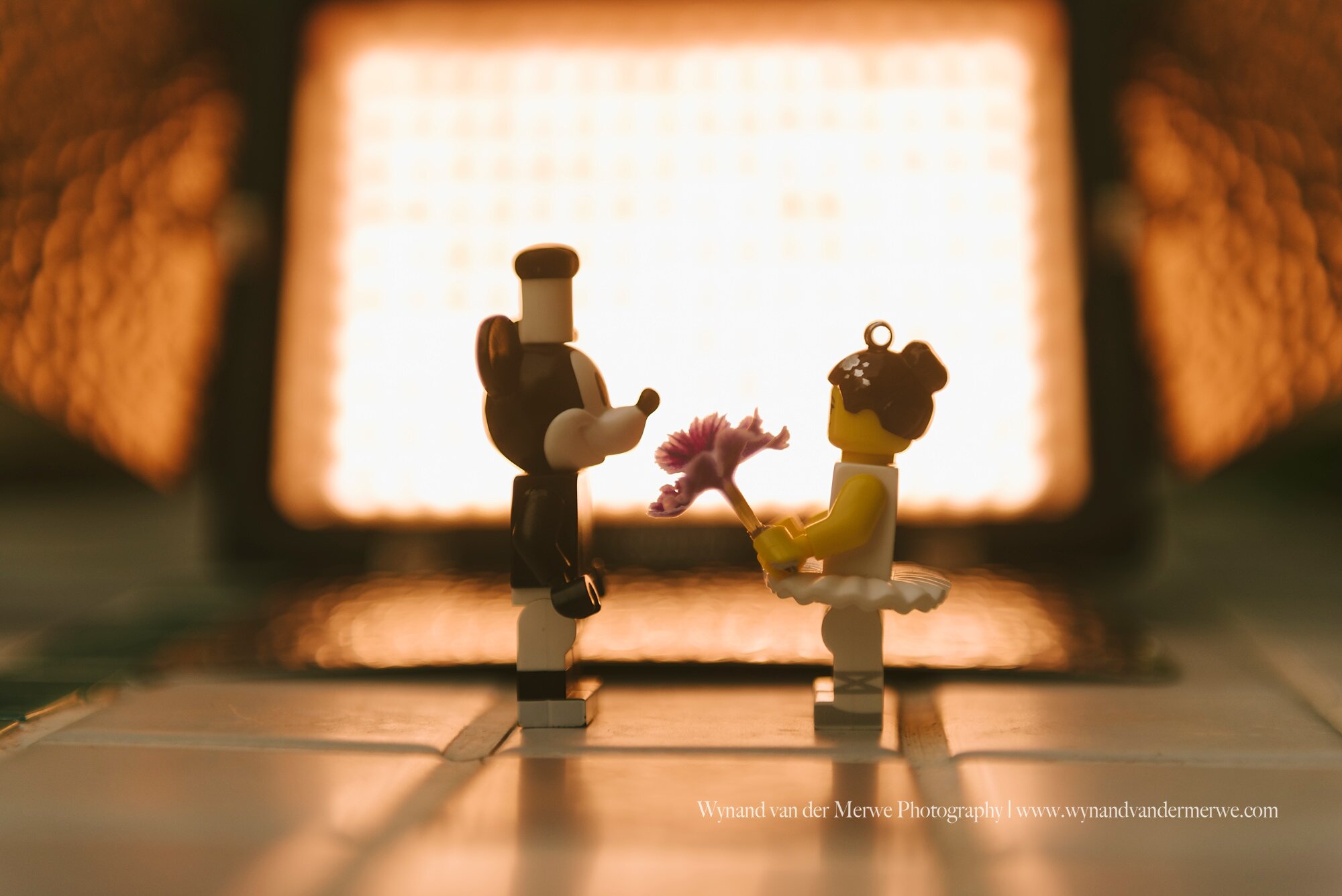 Wynandvandermerwe covid19 lockdown lego married-23.jpg