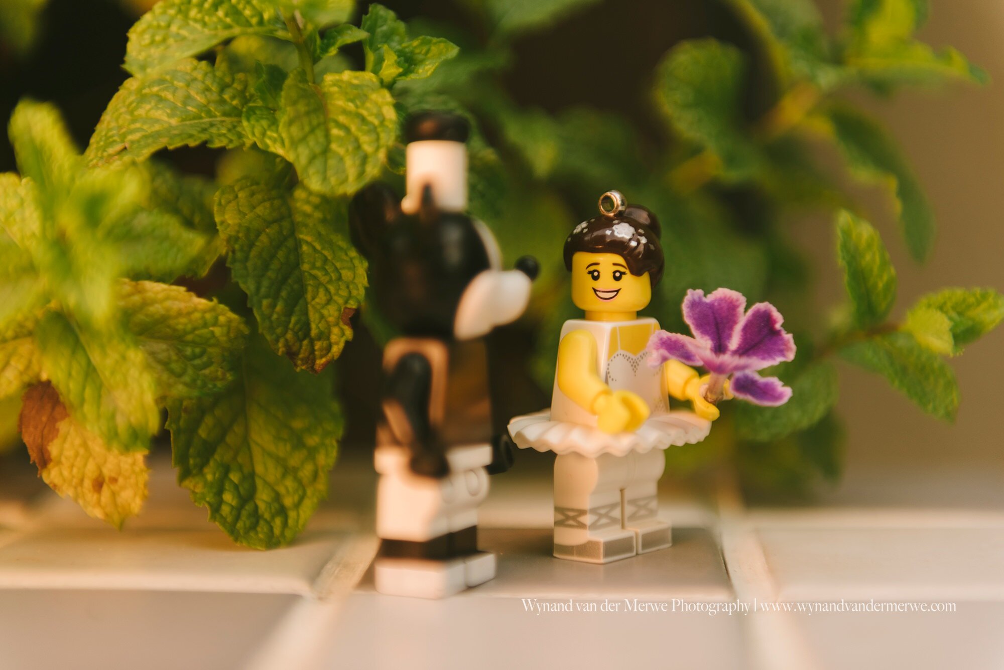 Wynandvandermerwe covid19 lockdown lego married-22.jpg