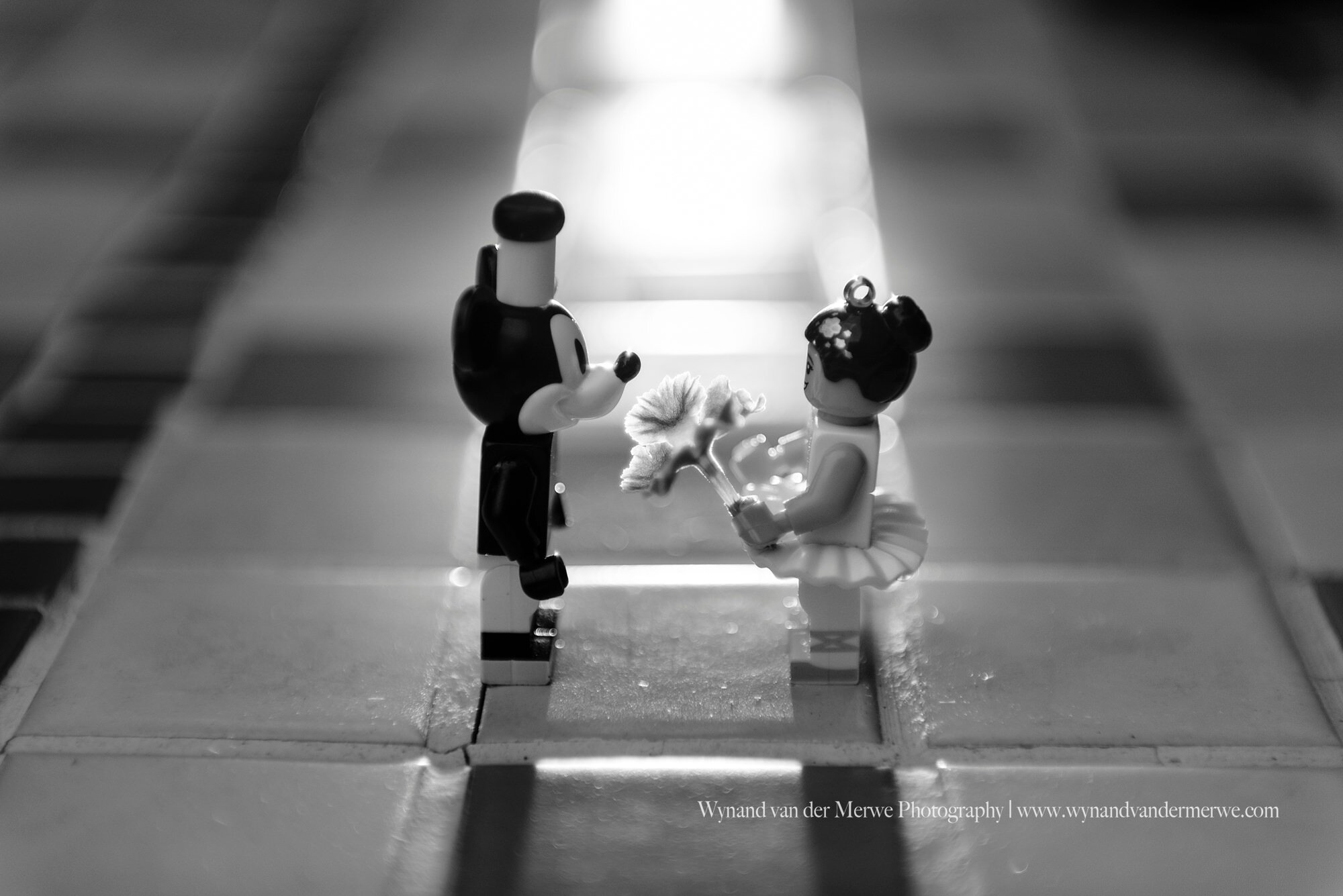 Wynandvandermerwe covid19 lockdown lego married-24.jpg