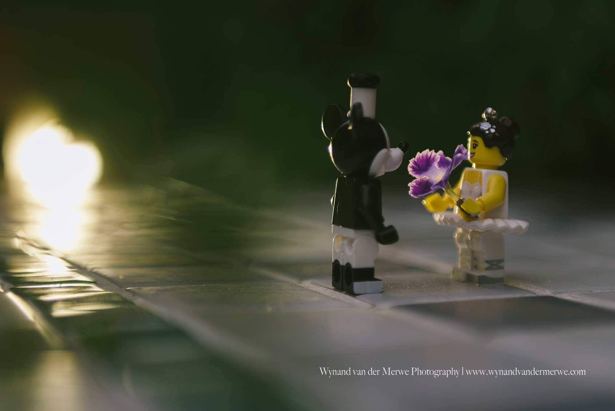 Wynandvandermerwe covid19 lockdown lego married-26.jpg